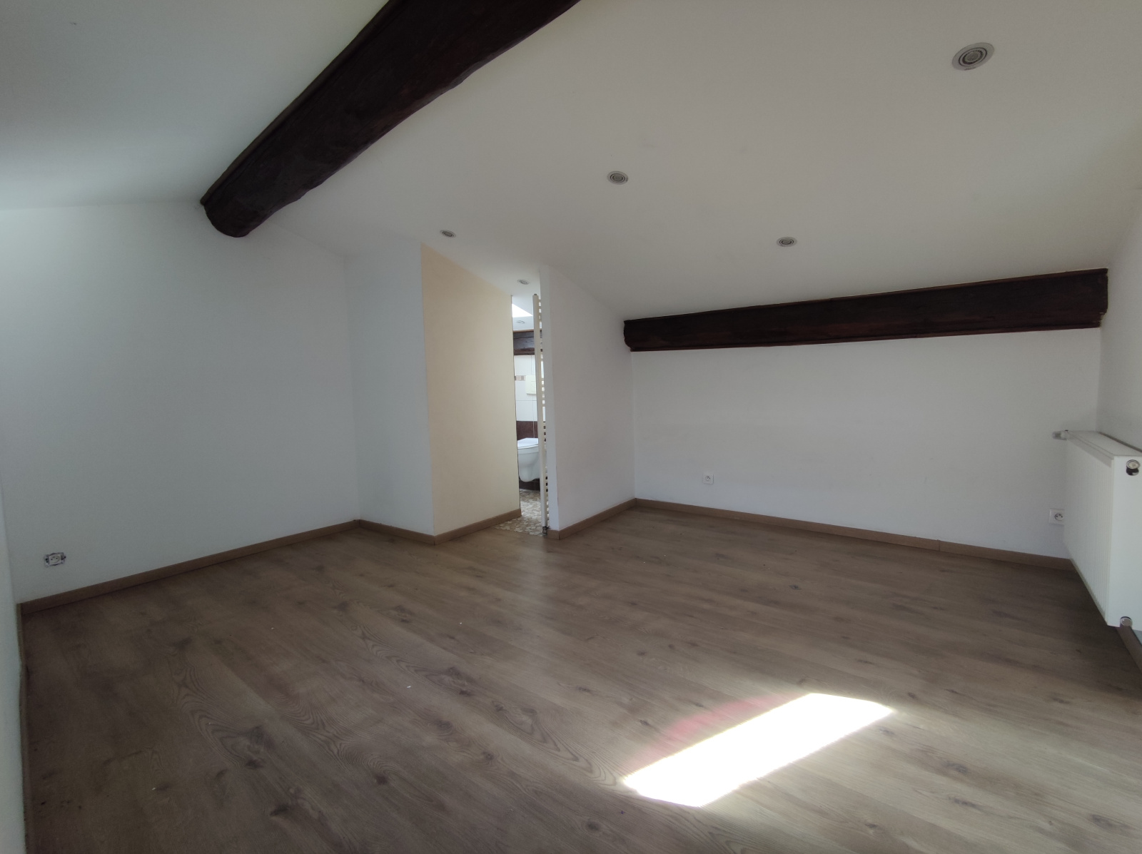Image_6, Duplex, Le Puy-en-Velay, ref :469