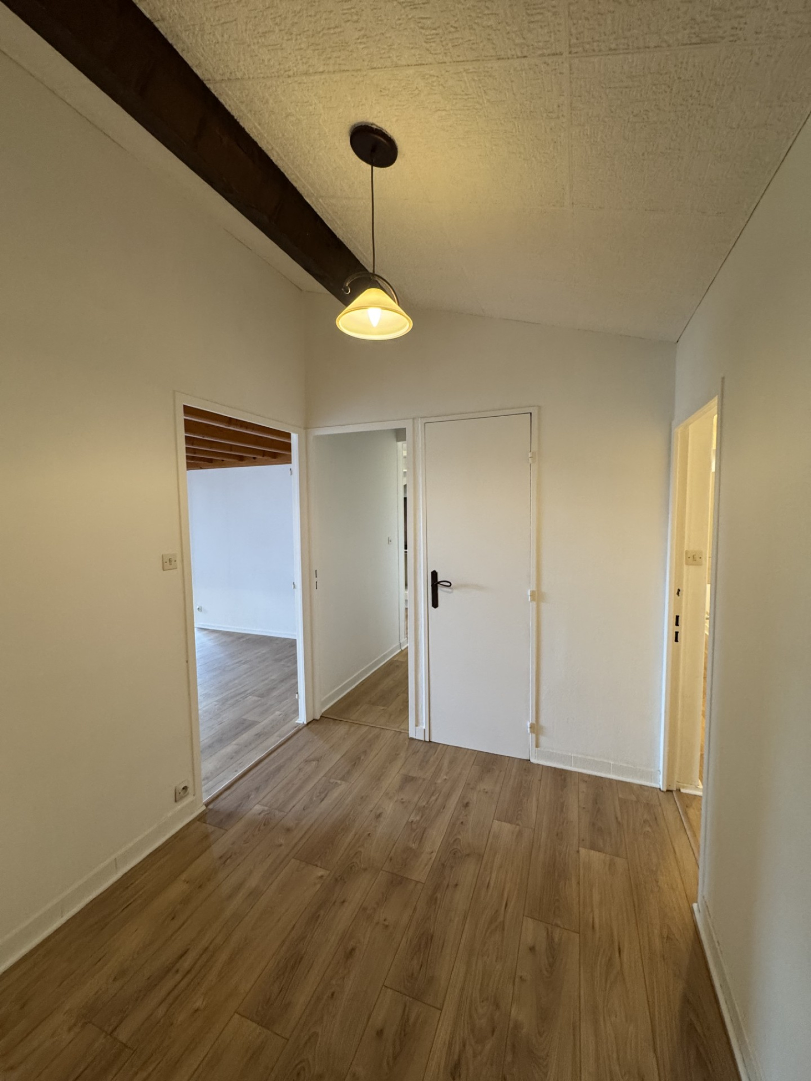 Image_7, Appartement, Monistrol-sur-Loire, ref :0338