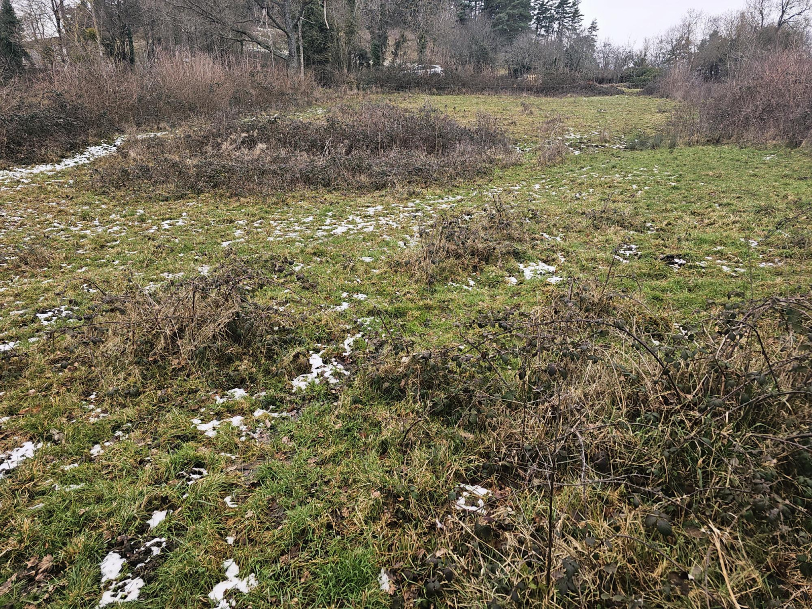 Image_3, Terrain, Retournac, ref :735