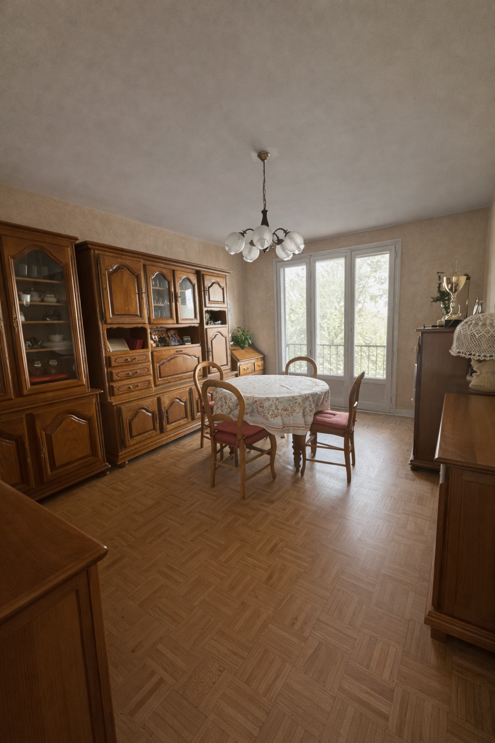 Image_1, Appartement, Saint-Étienne, ref :819