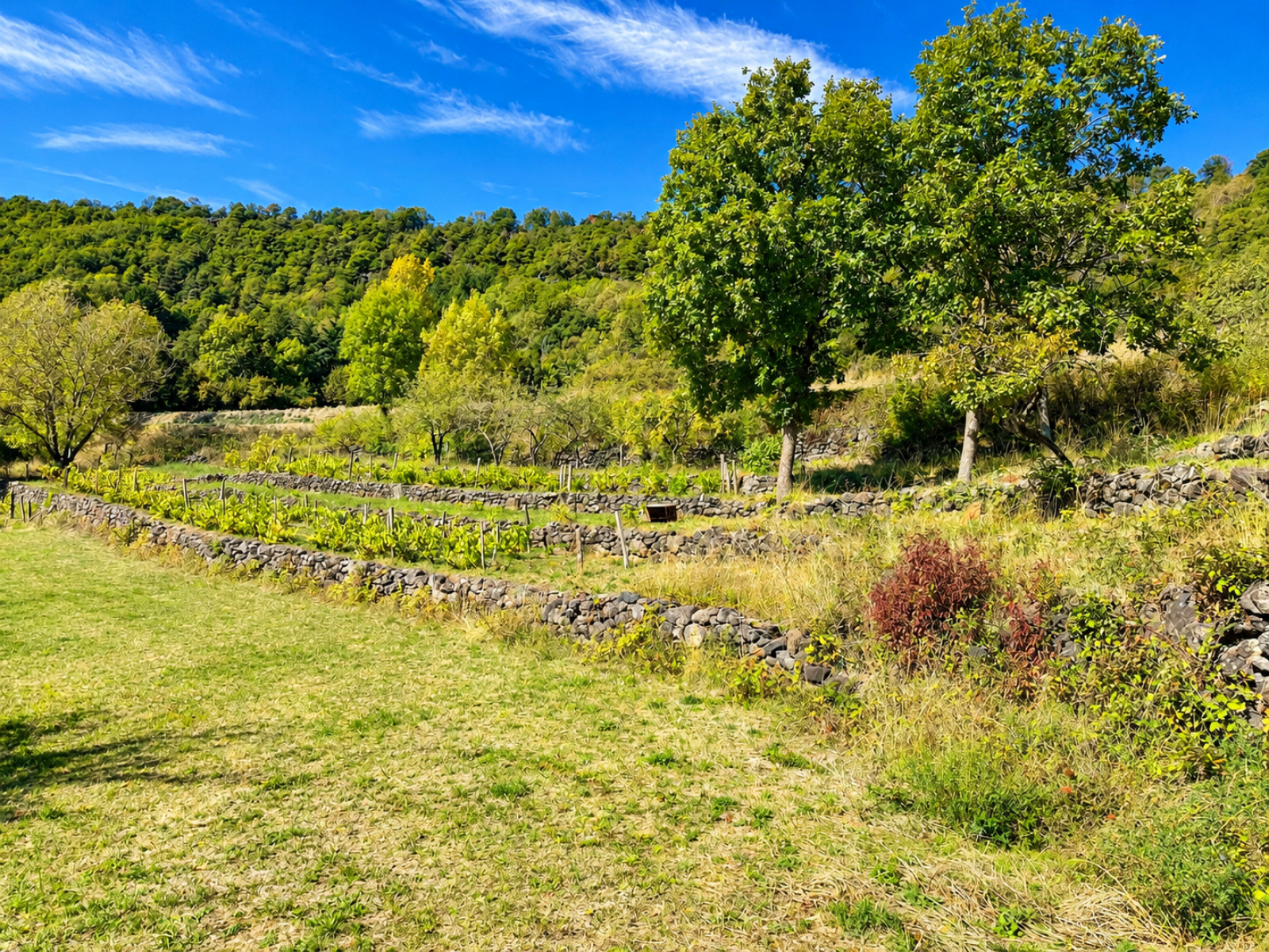 Image_4, Terrain à batir, Polignac, ref :973