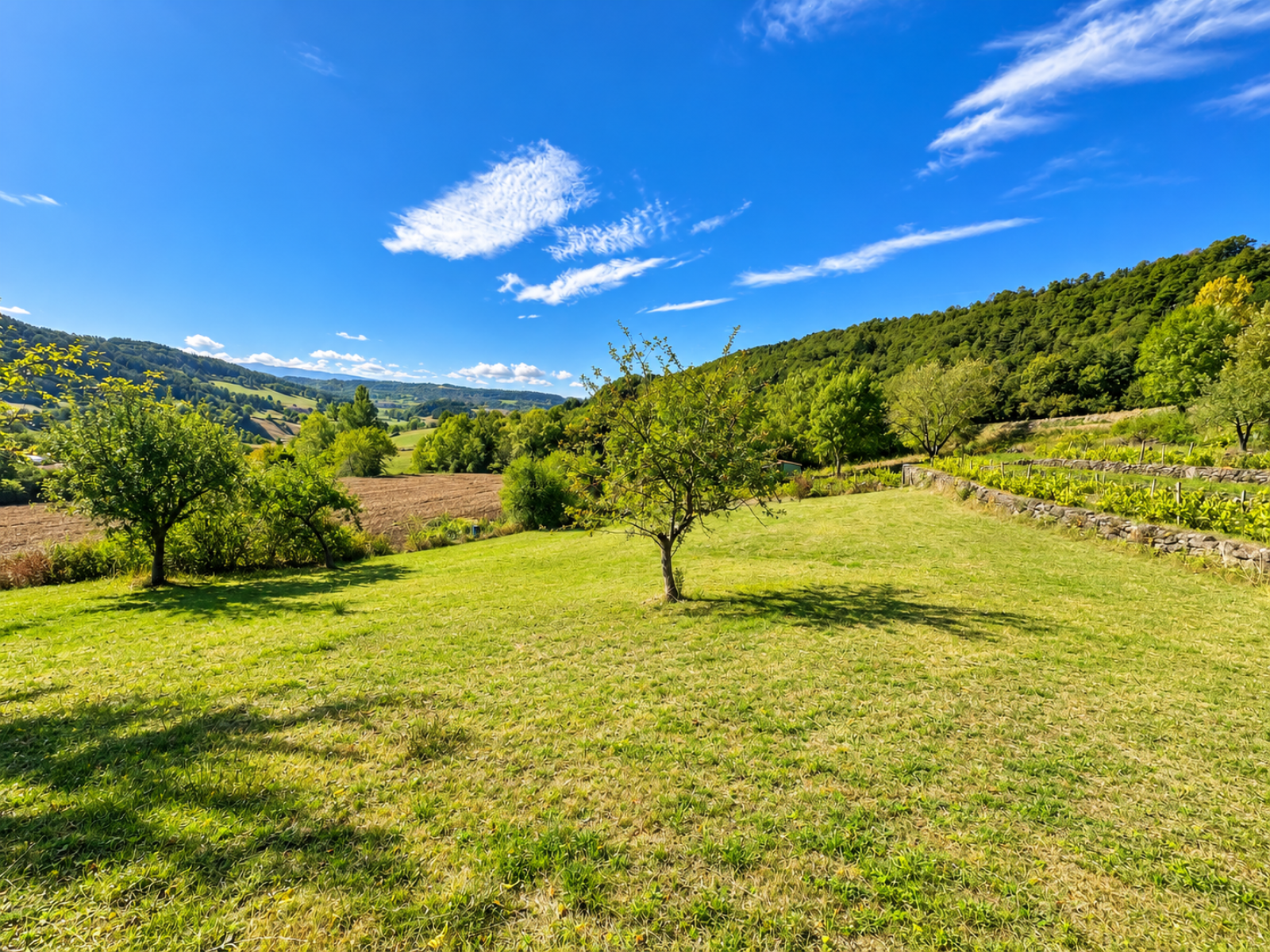 Image_1, Terrain à batir, Polignac, ref :973