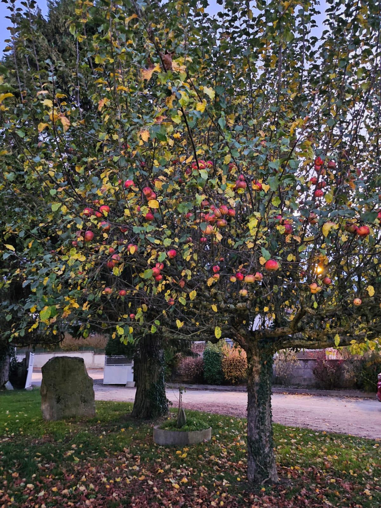 Image_4, Maison, Beauzac, ref :0313