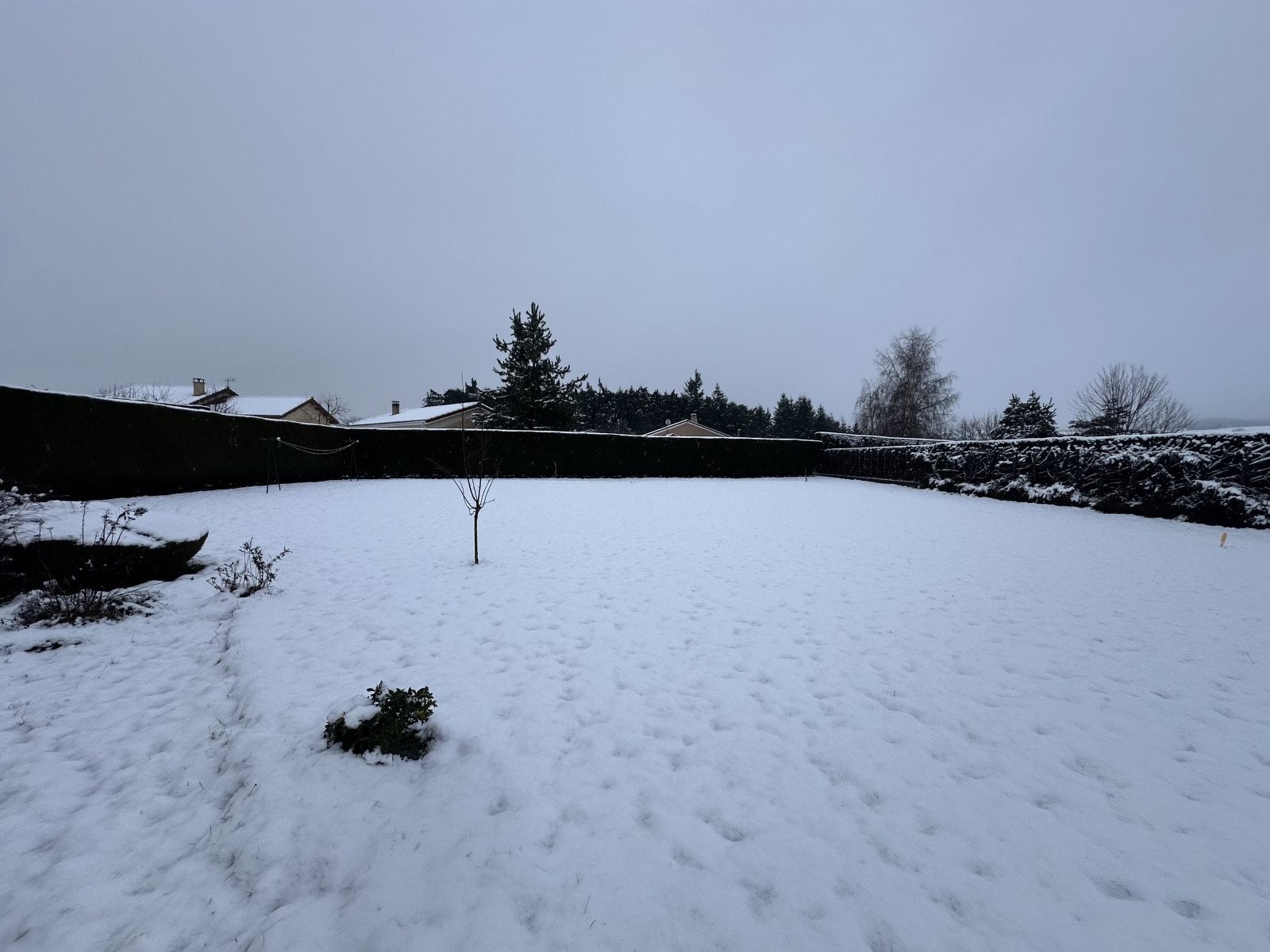 Image_1, Terrain, Saint-Maurice-de-Lignon, ref :767