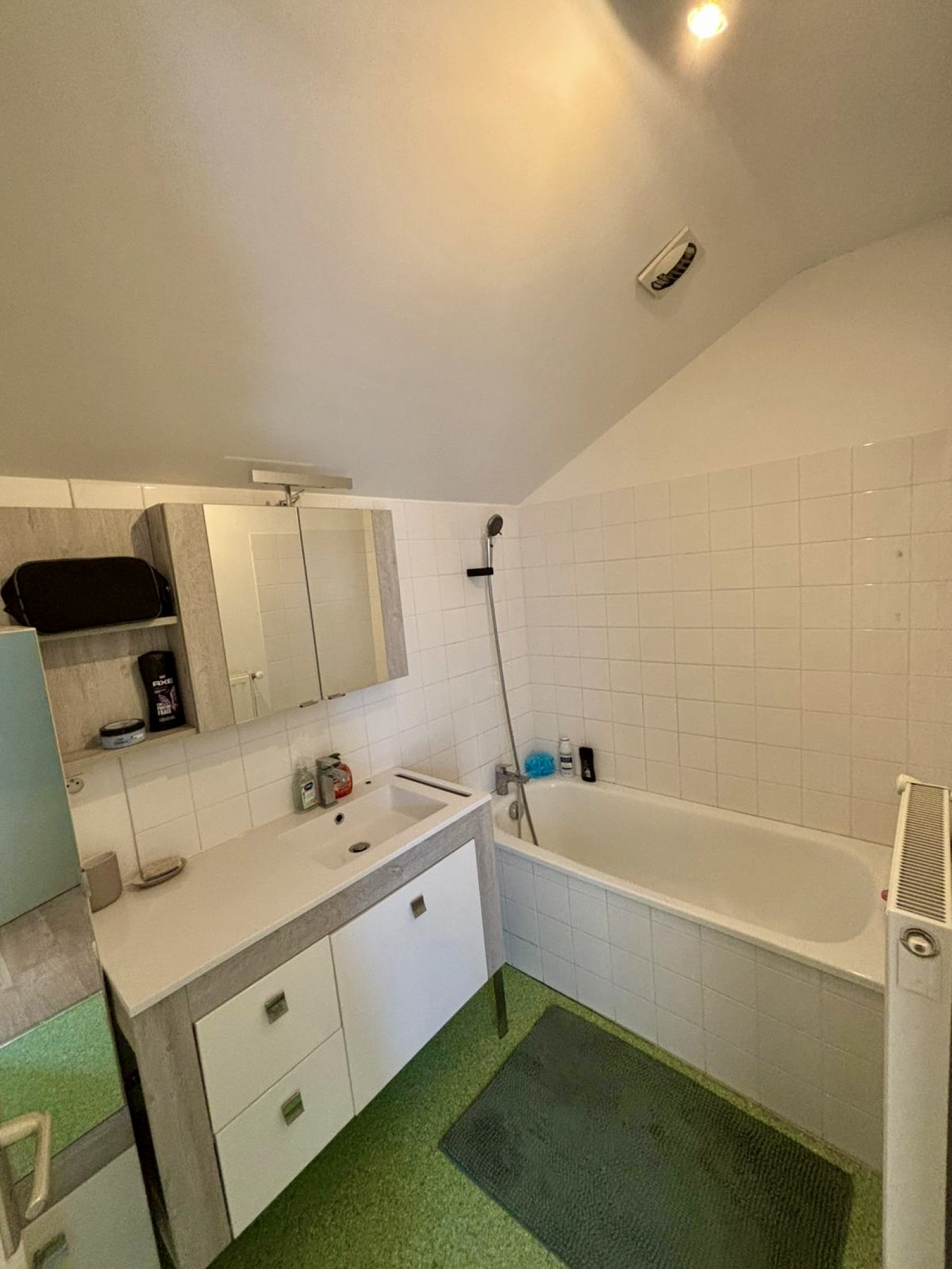 Image_7, Duplex, Sainte-Sigolène, ref :669