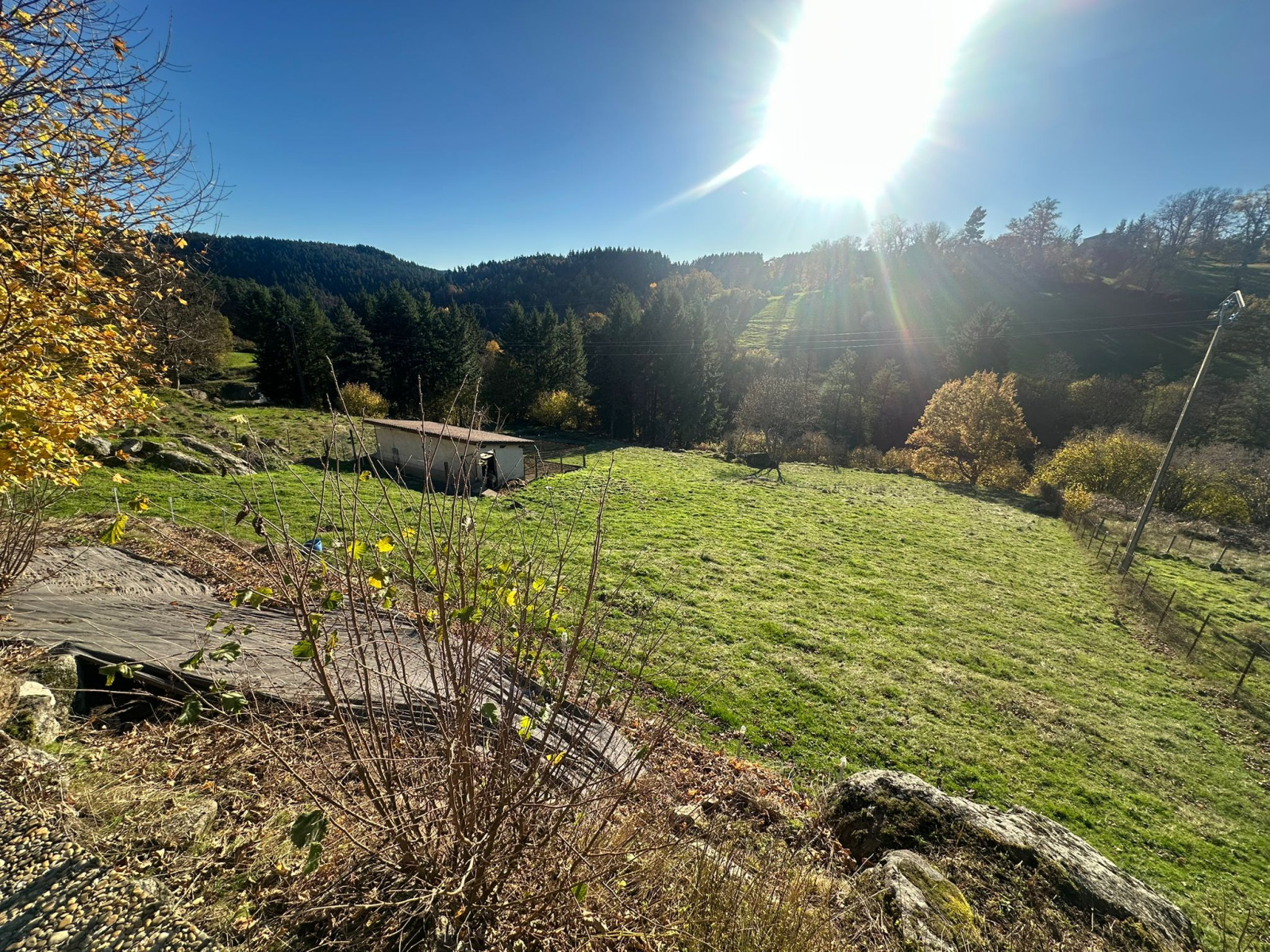 Image_16, Maison, Sainte-Sigolène, ref :722