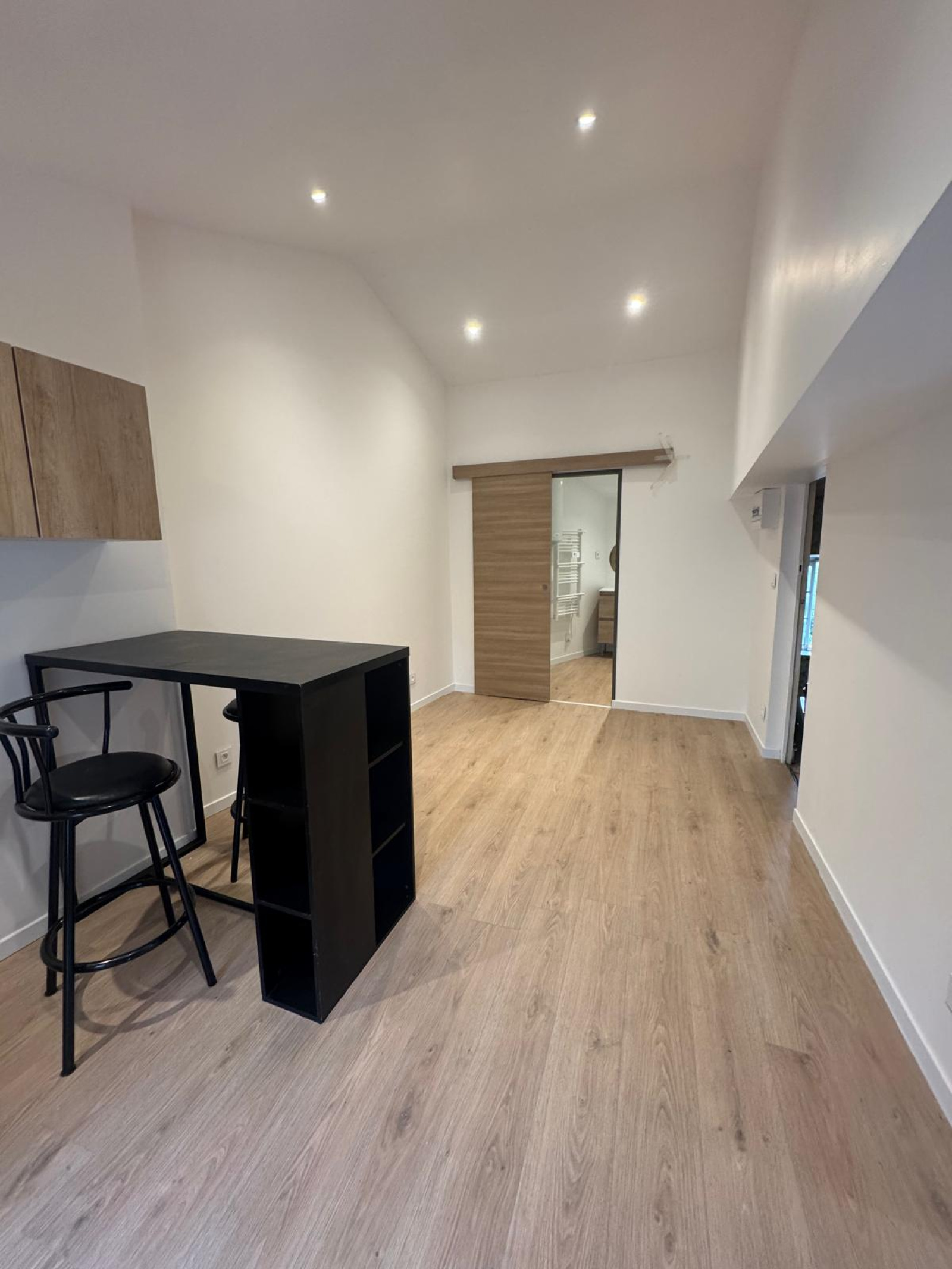 Image_3, Appartement, Monistrol-sur-Loire, ref :311