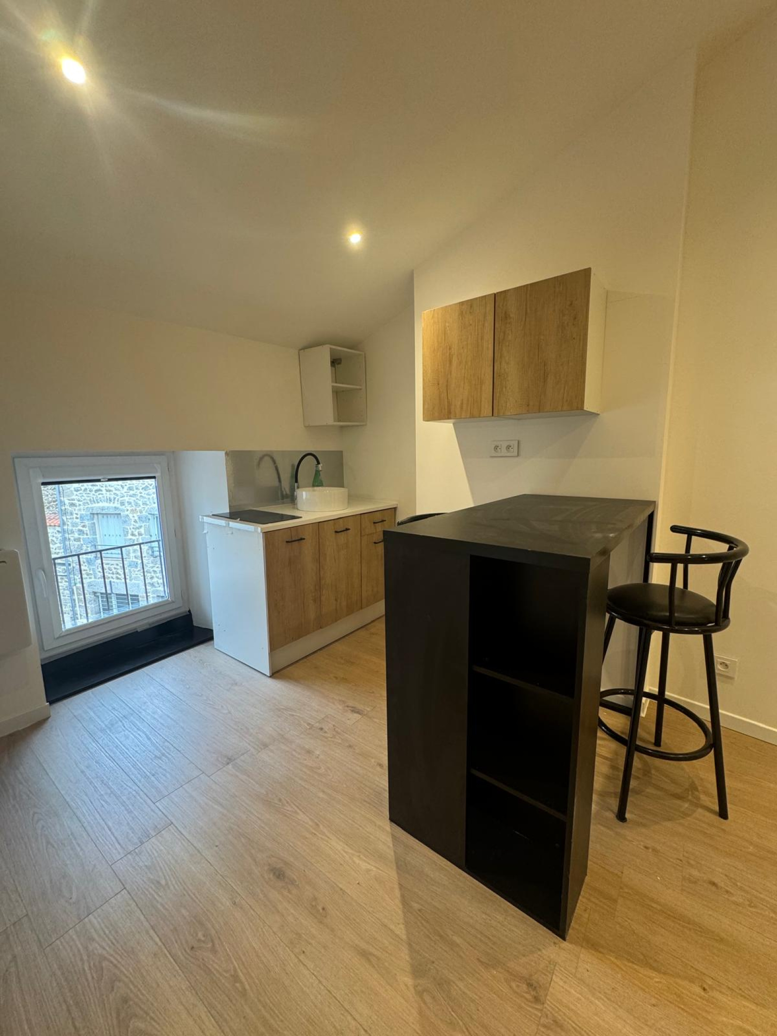Image_1, Appartement, Monistrol-sur-Loire, ref :311