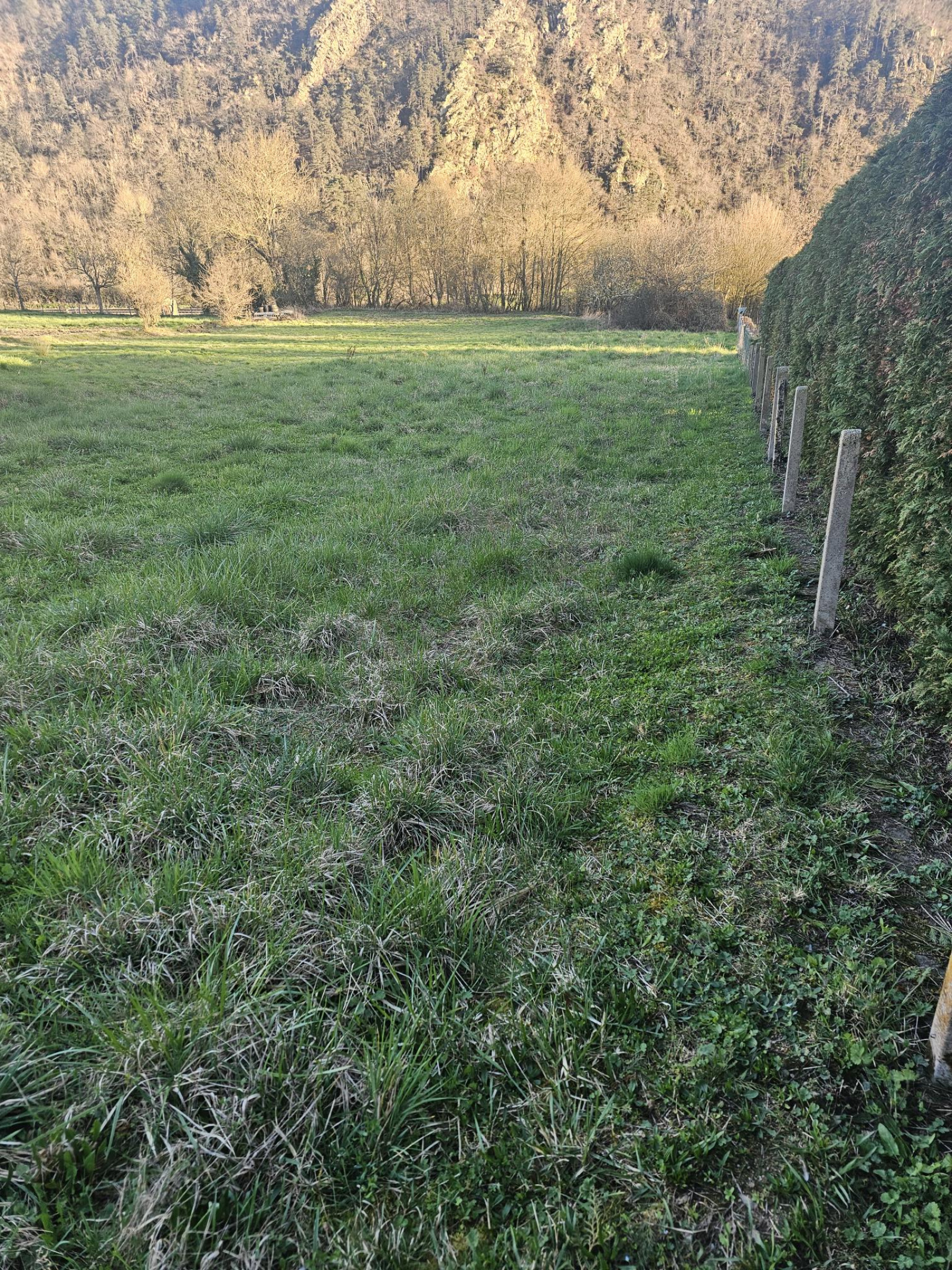 Image_4, Terrain, Beauzac, ref :805