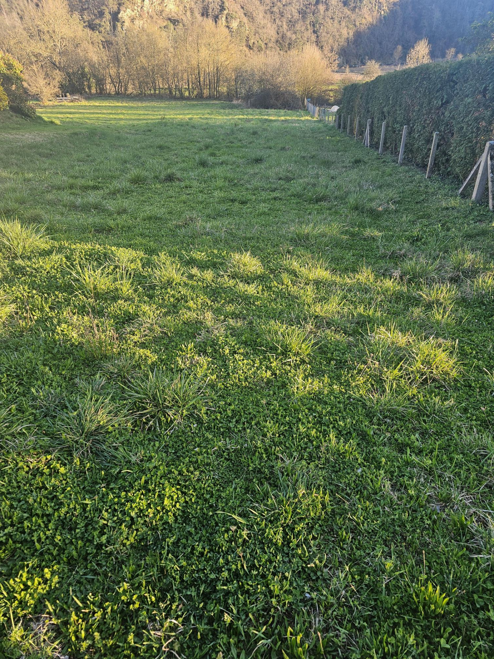 Image_1, Terrain, Beauzac, ref :805