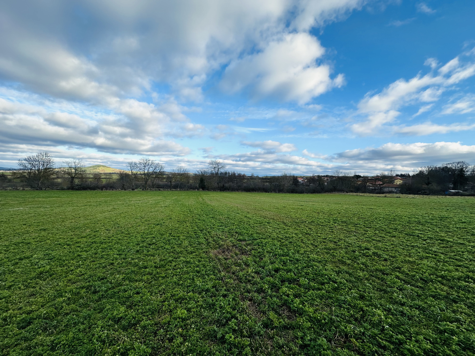 Image_4, Terrain, Chaspuzac, ref :497