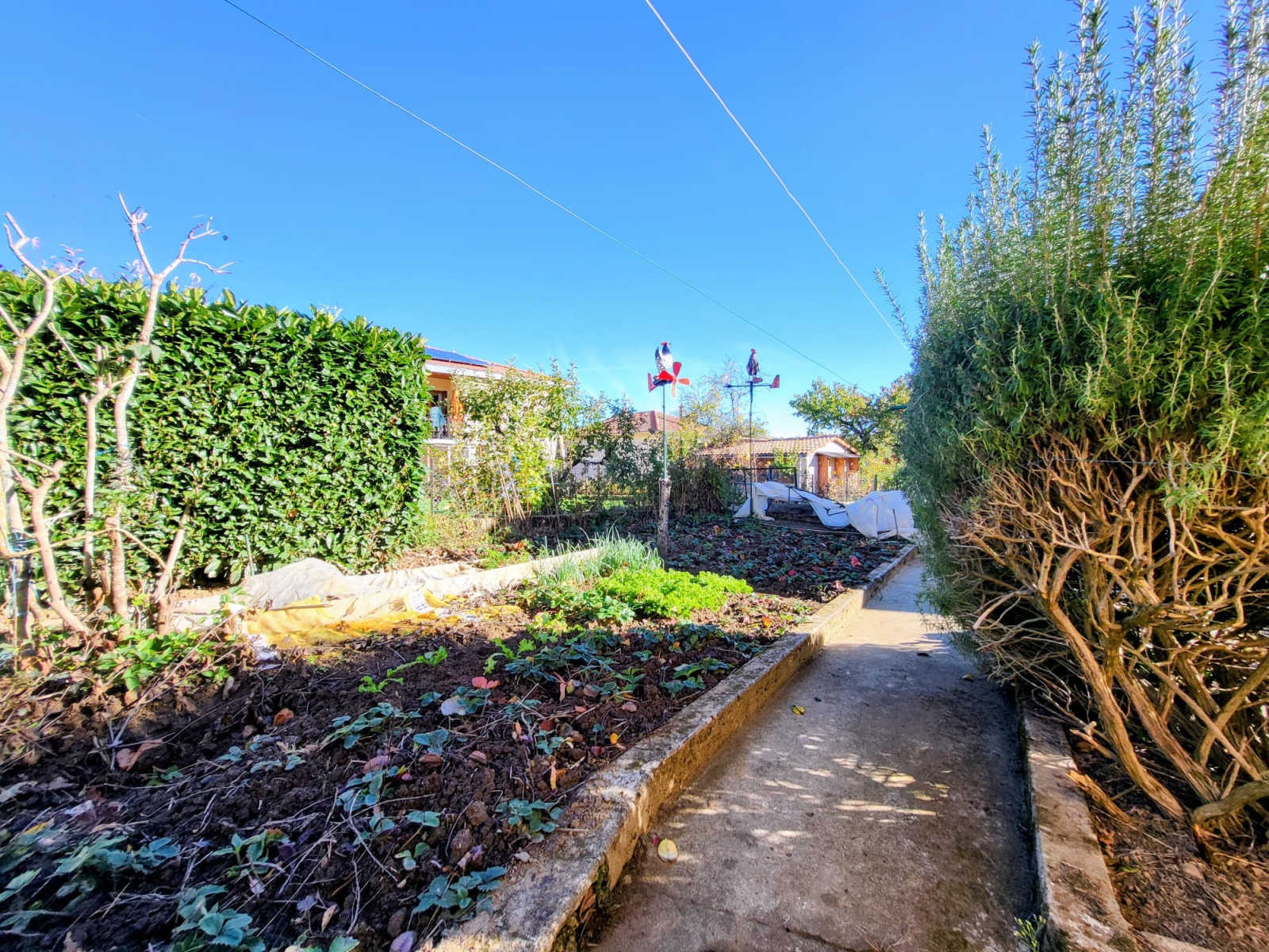 Image_3, Maison, Langeac, ref :720