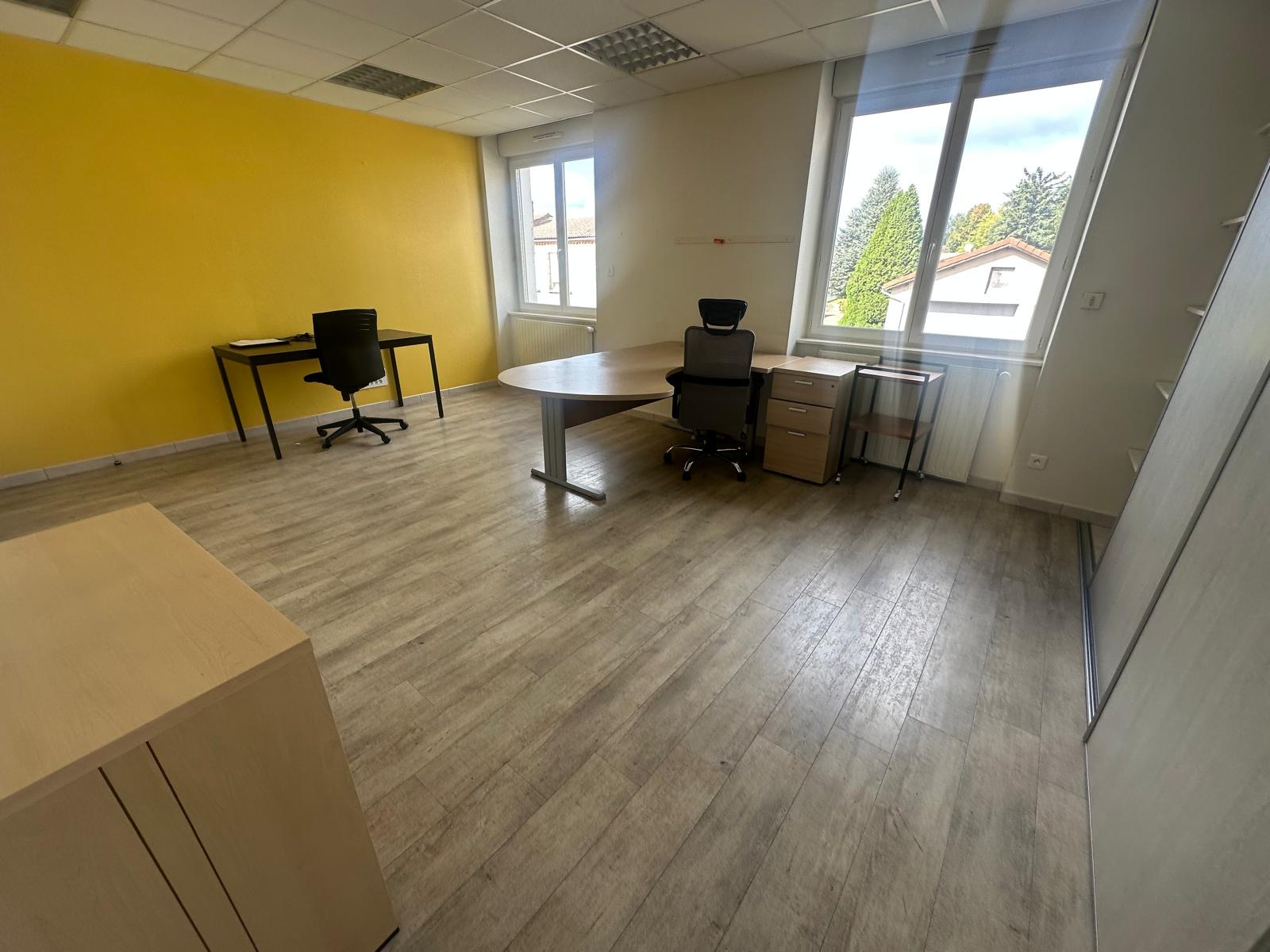 Image_7, Entrepôt, Sainte-Sigolène, ref :0309