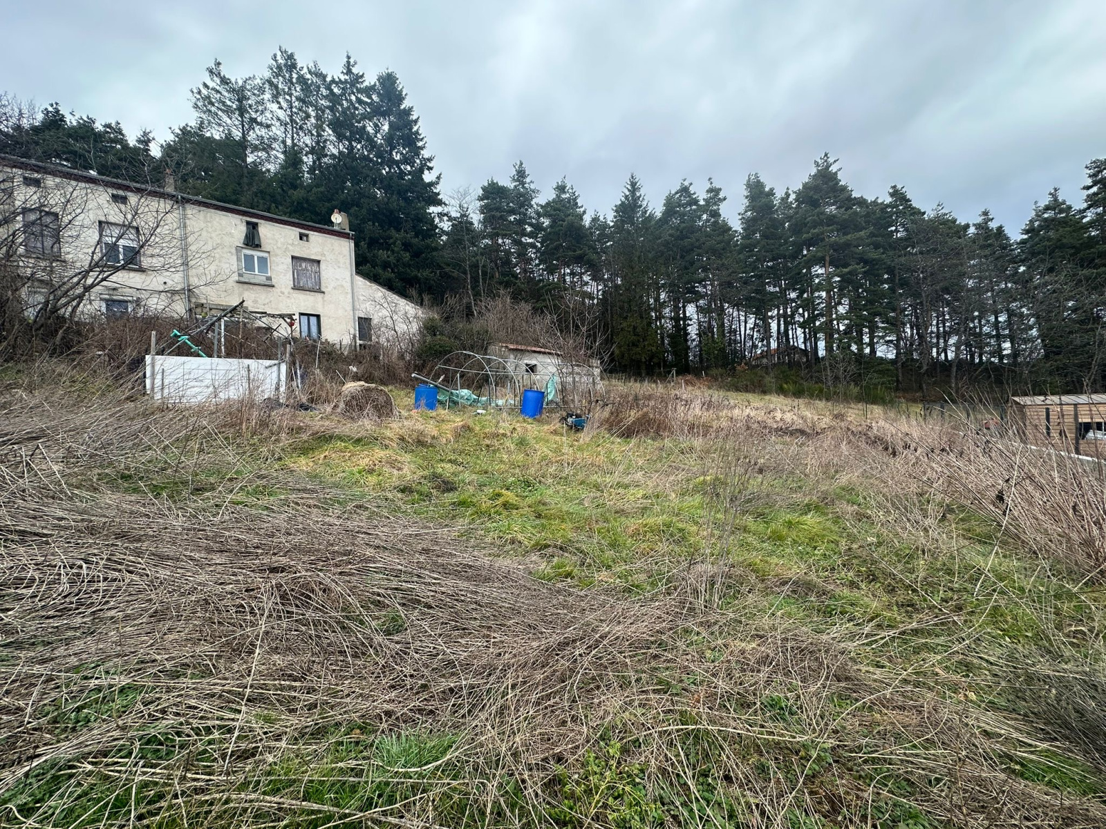 Image_1, Maison, Sainte-Sigolène, ref :499