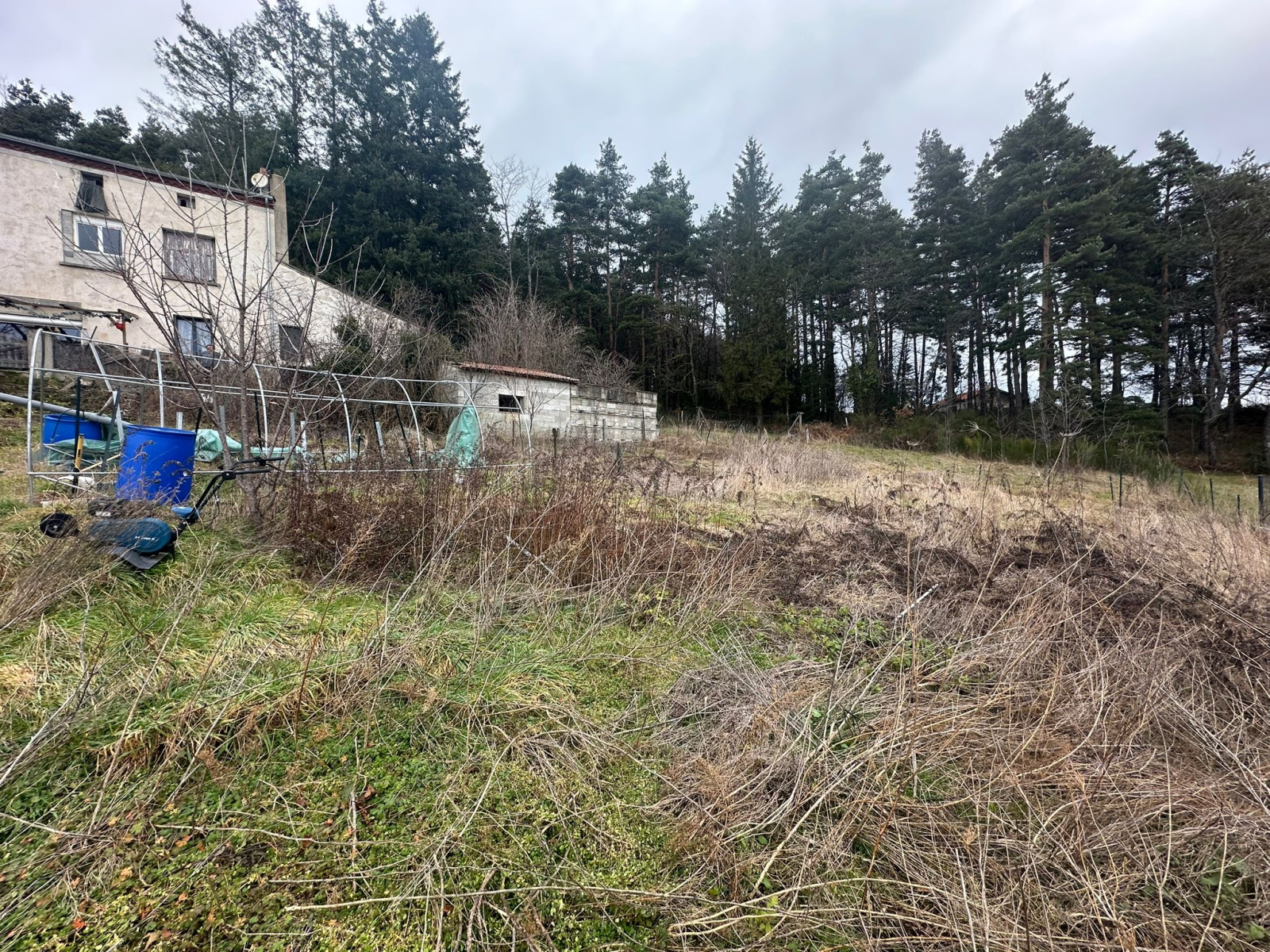 Image_2, Maison, Sainte-Sigolène, ref :499