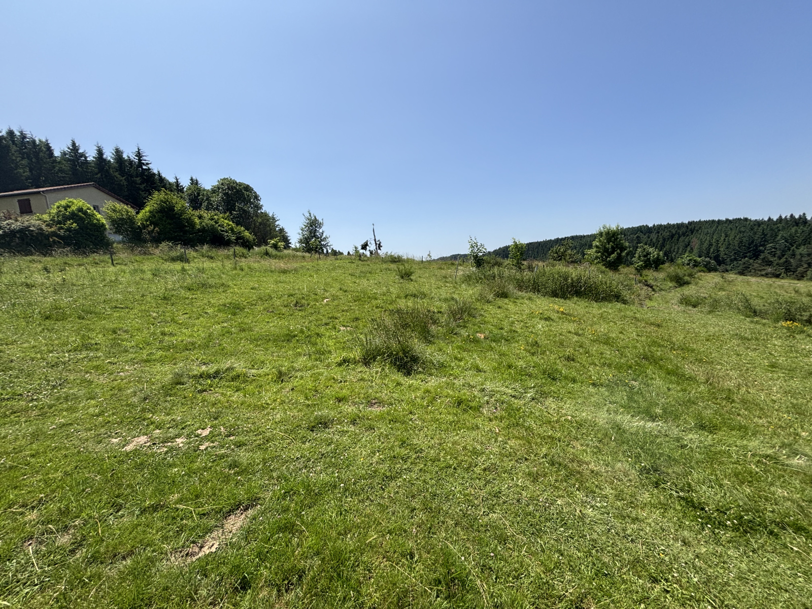 Image_4, Terrain, Saint-Pal-de-Mons, ref :605