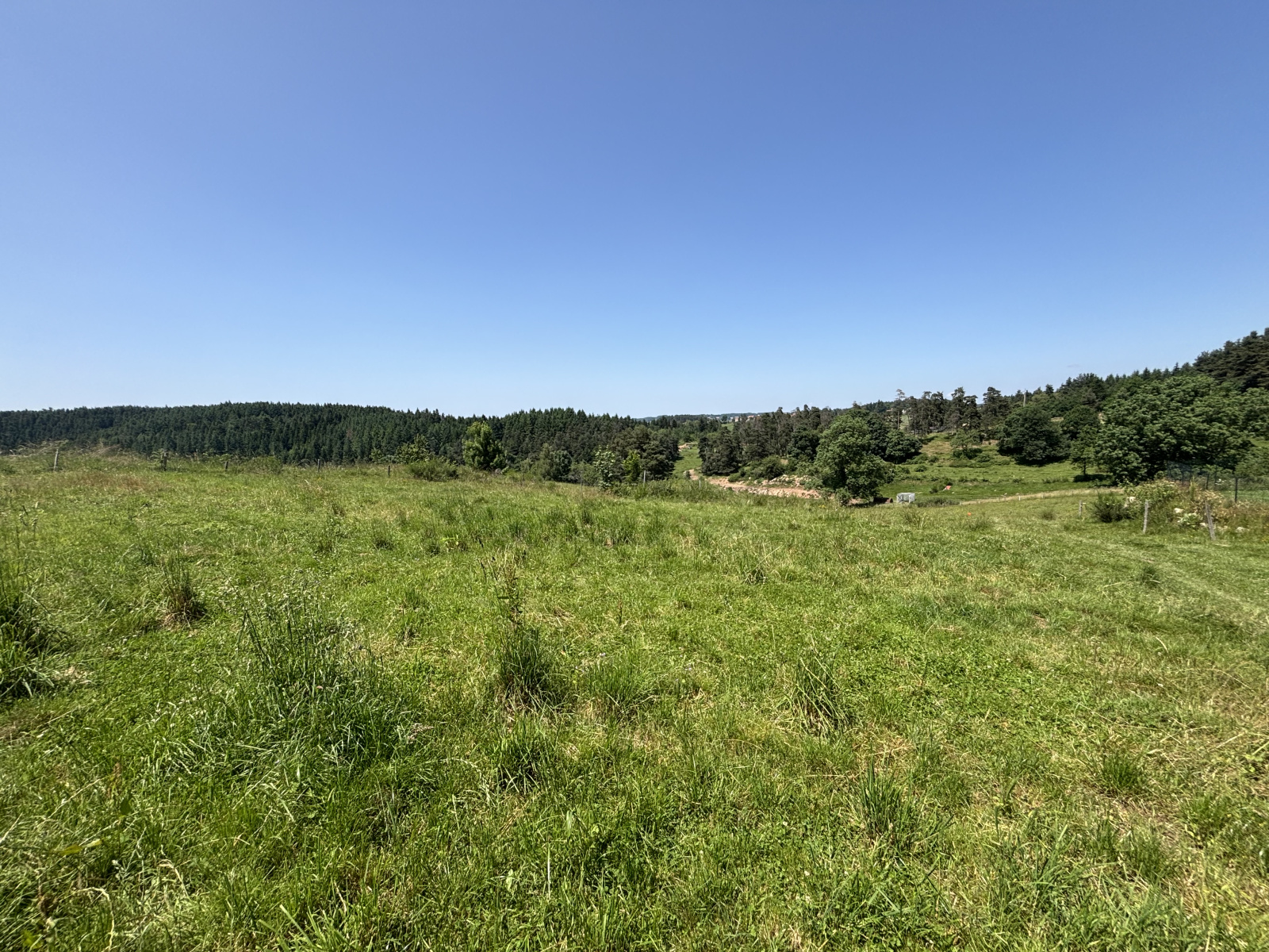 Image_5, Terrain, Saint-Pal-de-Mons, ref :605