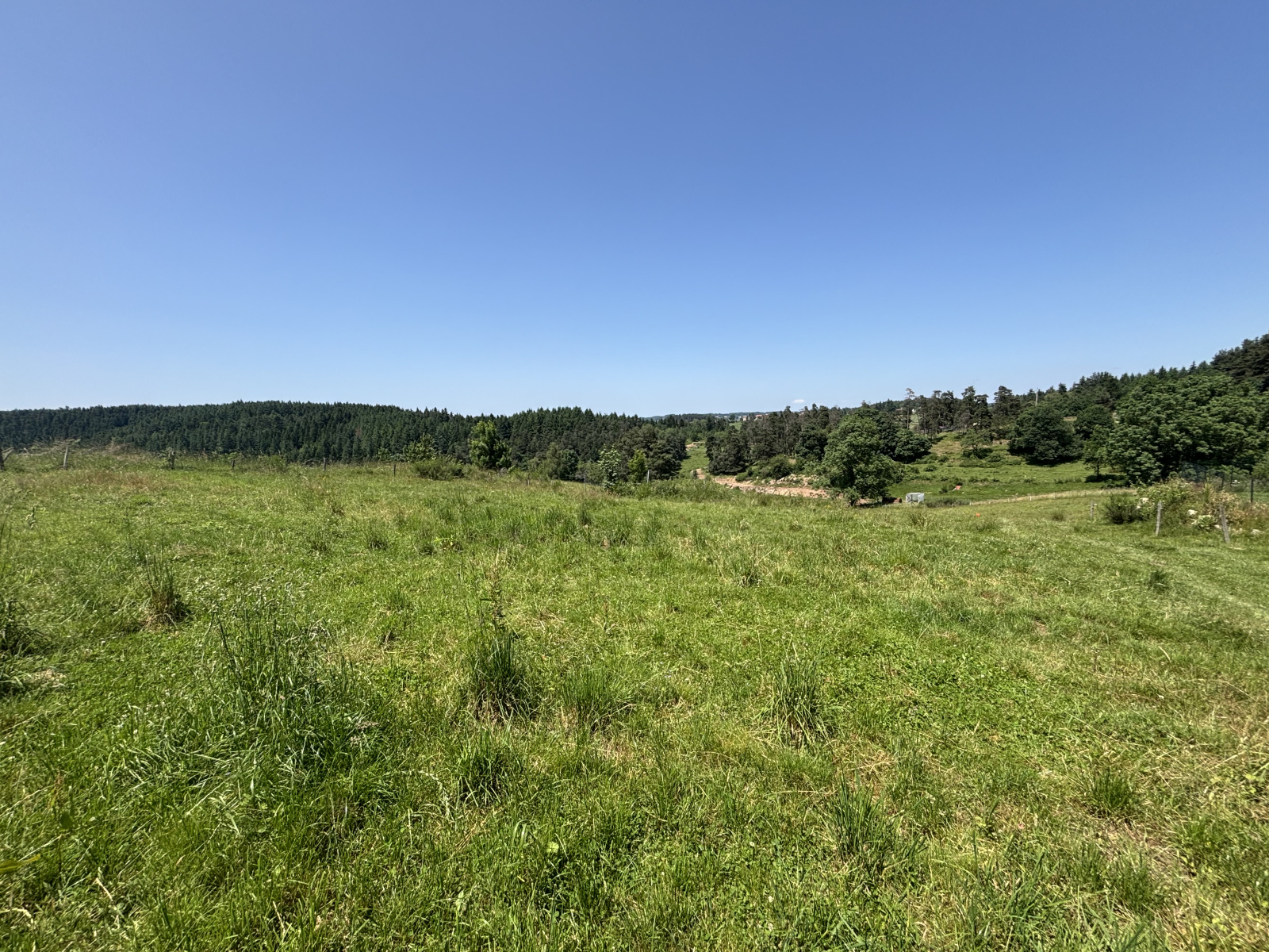 Image_1, Terrain, Saint-Pal-de-Mons, ref :605