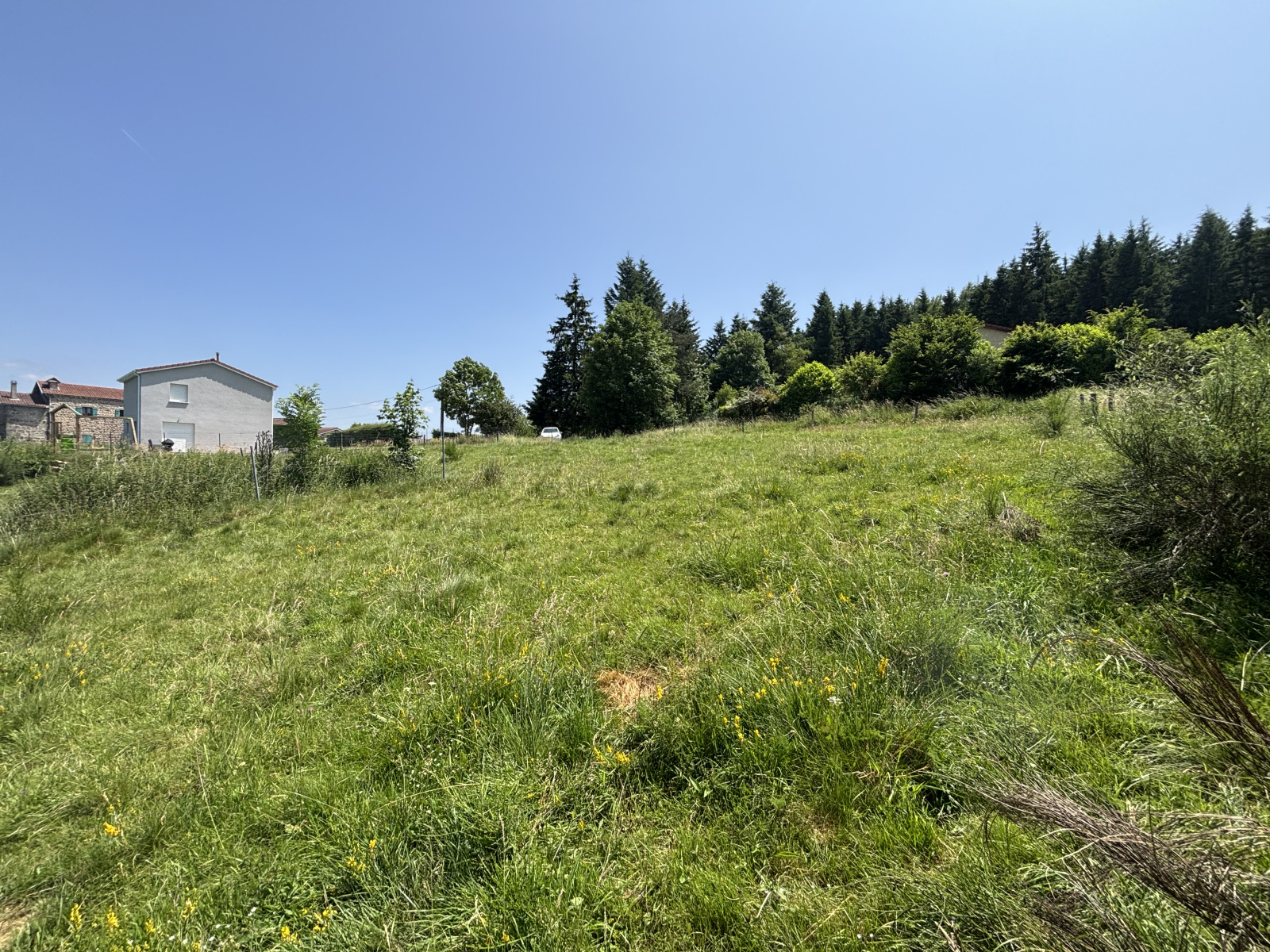 Image_6, Terrain, Saint-Pal-de-Mons, ref :605