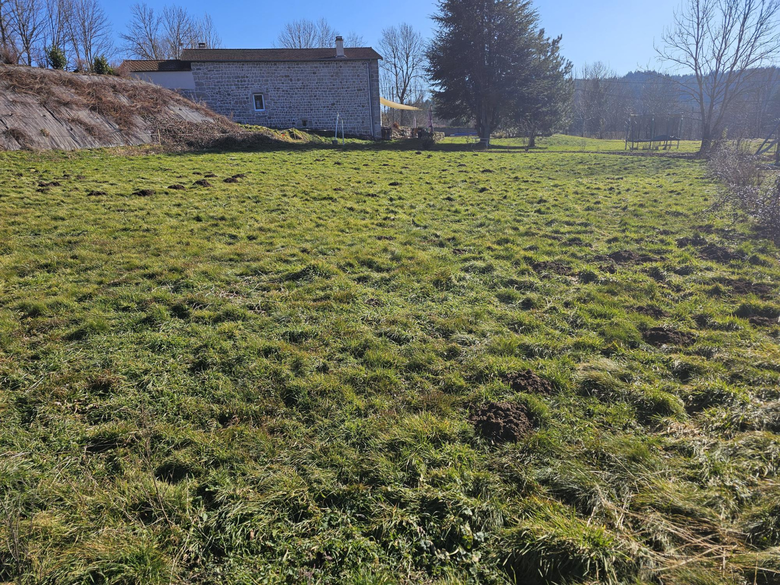 Image_4, Terrain à batir, Saint-Pal-de-Mons, ref :533