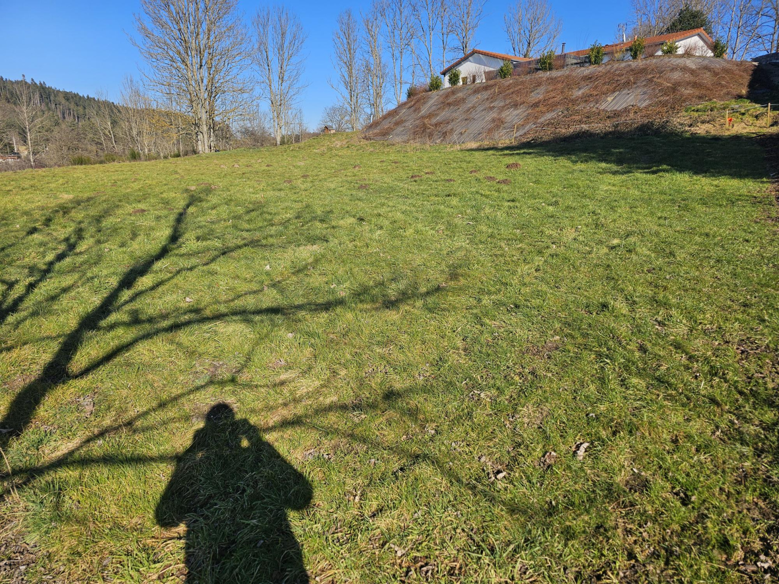 Image_2, Terrain à batir, Saint-Pal-de-Mons, ref :533