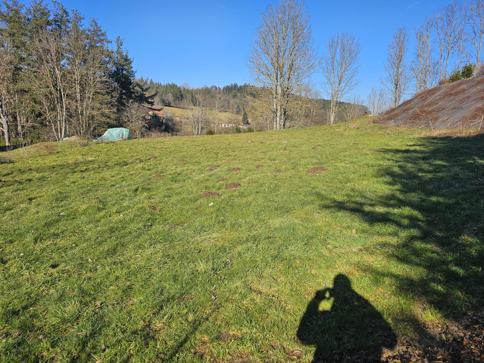 Image_3, Terrain à batir, Saint-Pal-de-Mons, ref :533