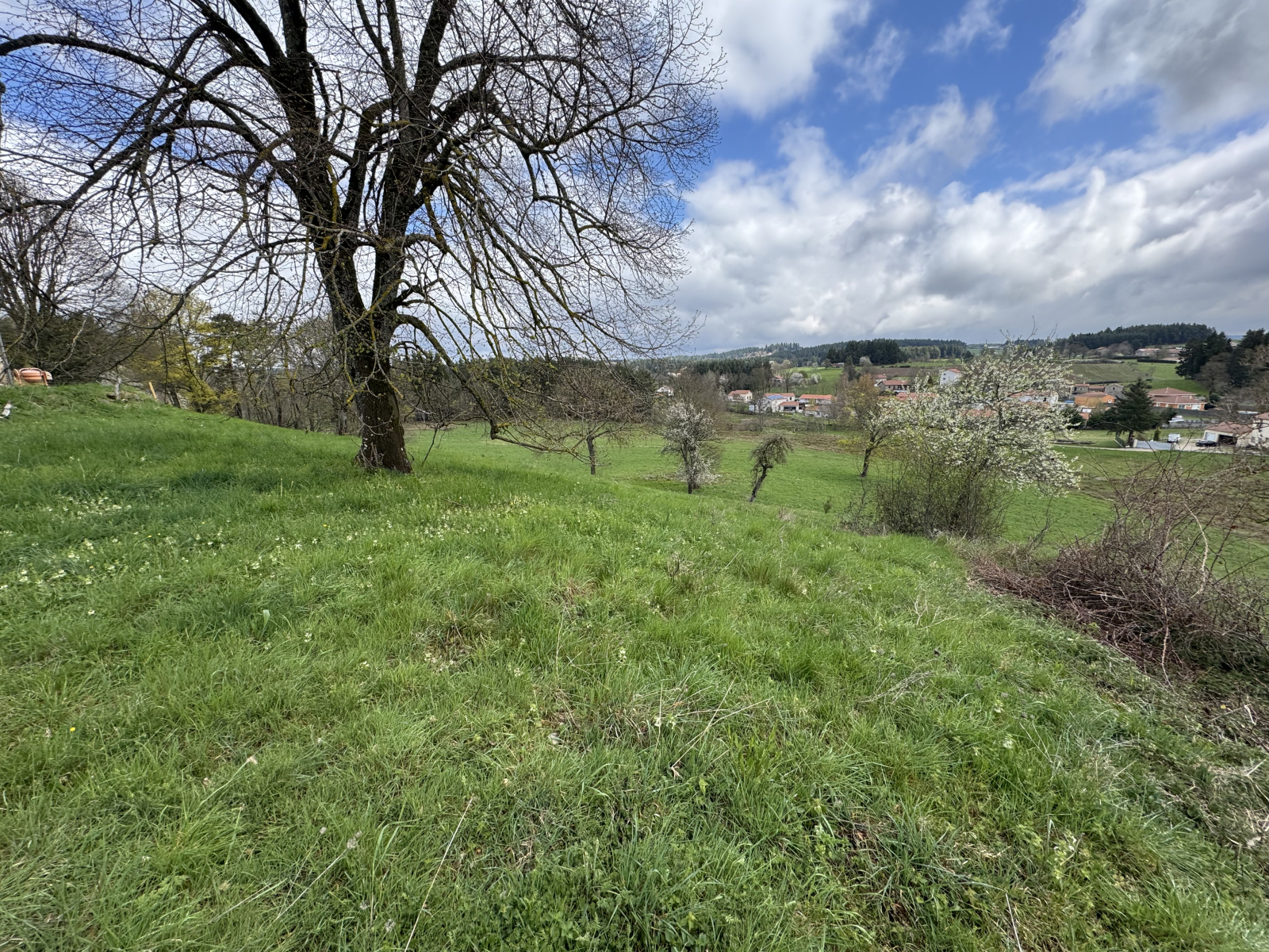 Image_5, Terrain, Lapte, ref :482