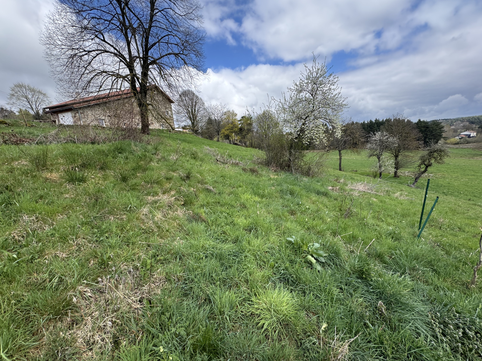 Image_4, Terrain, Lapte, ref :482