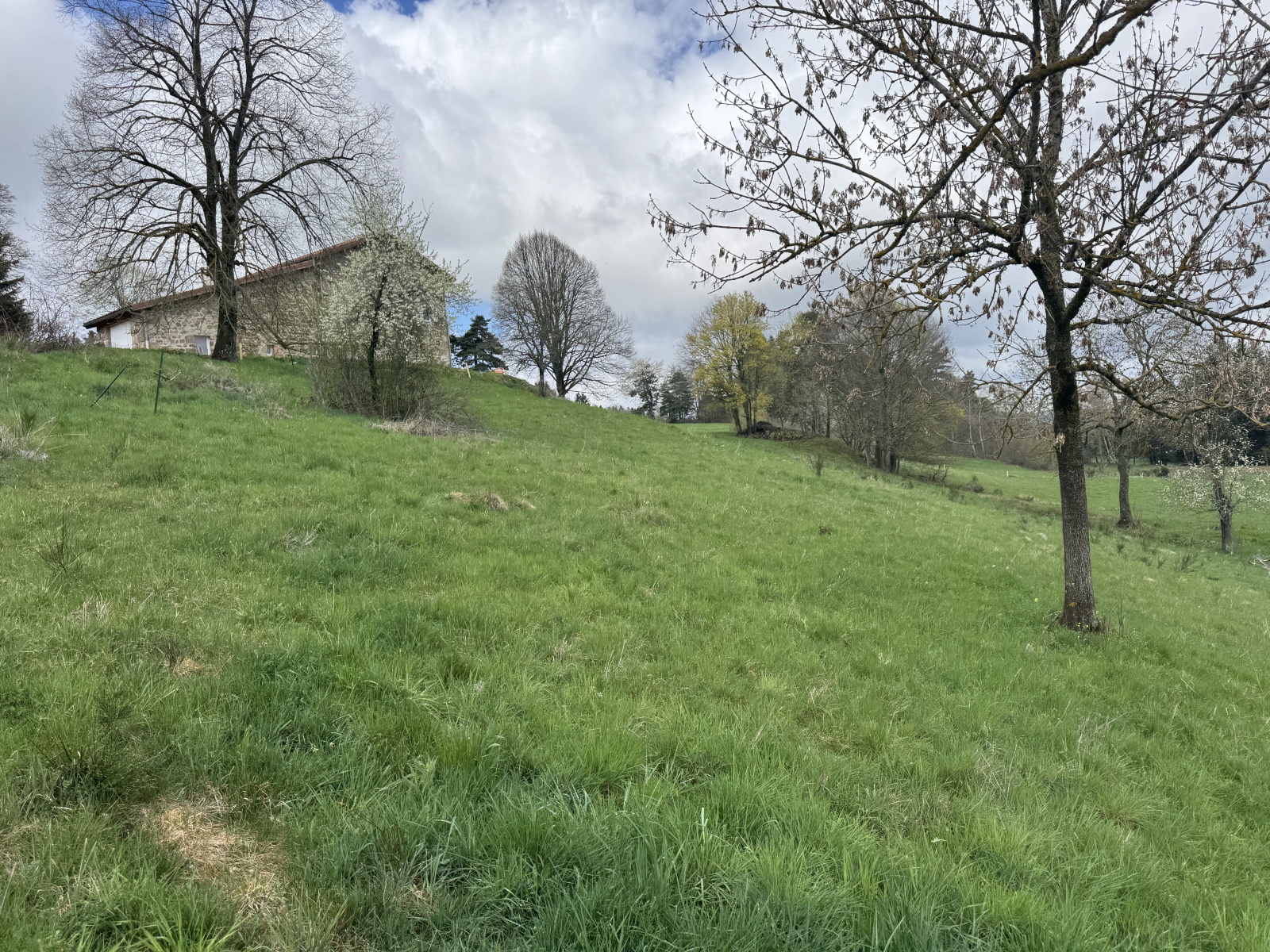 Image_1, Terrain, Lapte, ref :482