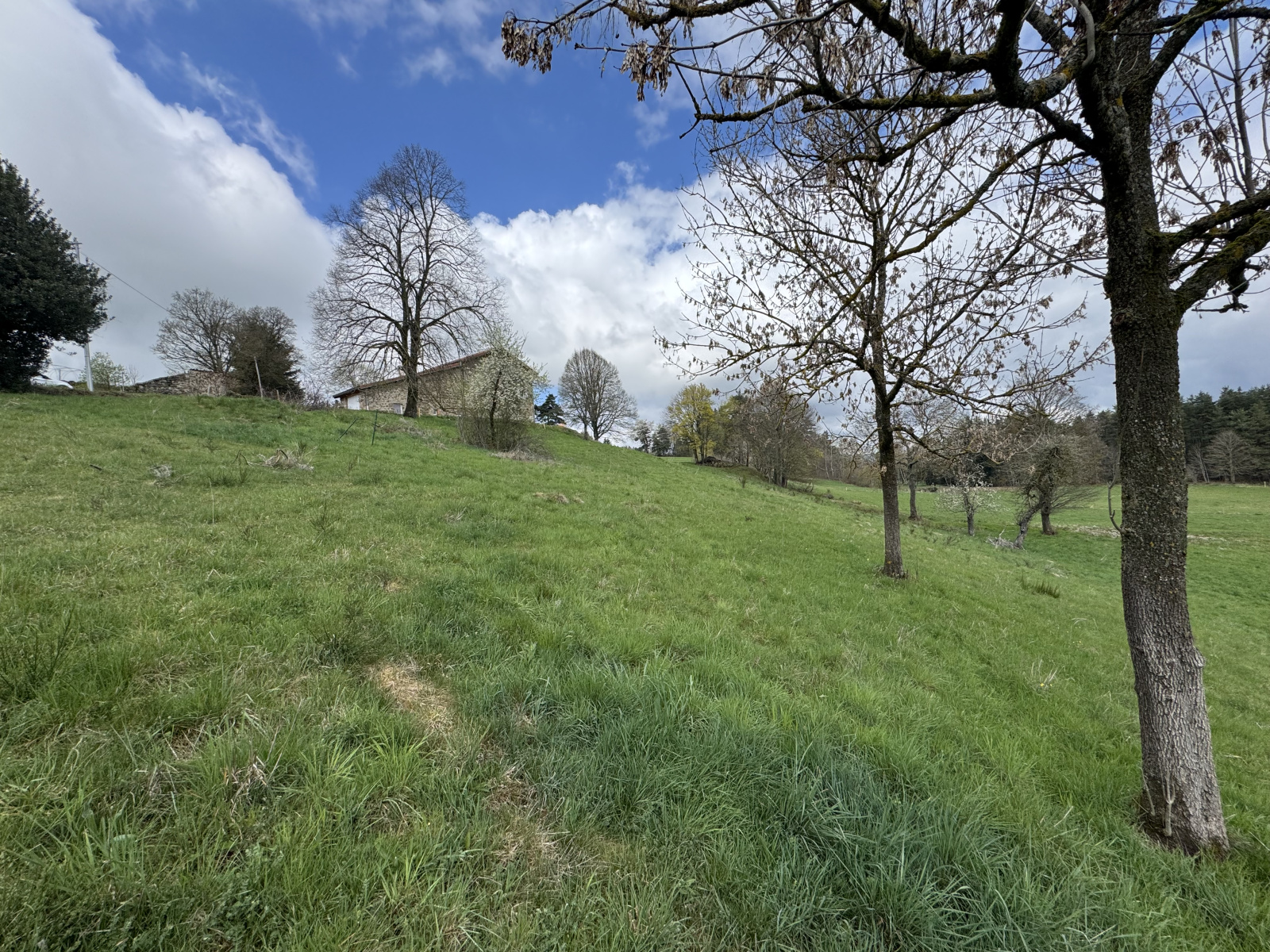 Image_2, Terrain, Lapte, ref :482