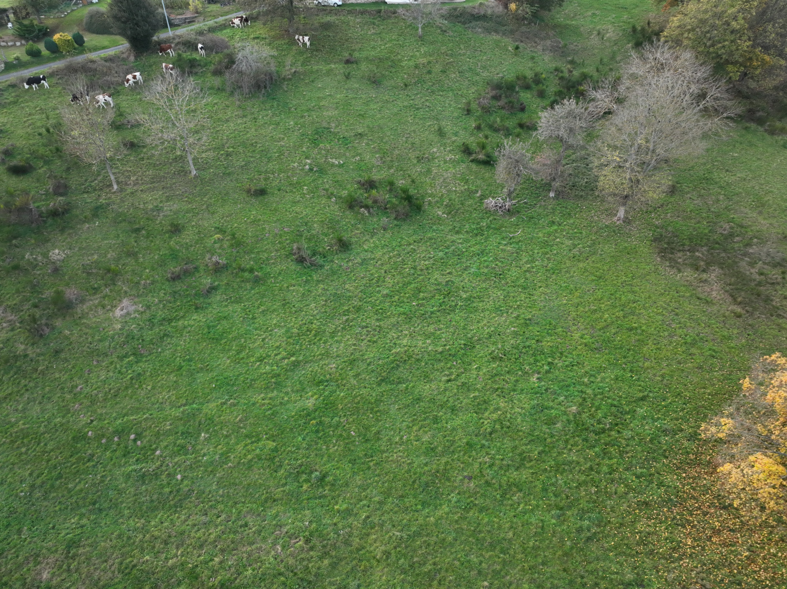 Image_3, Terrain, Lapte, ref :482