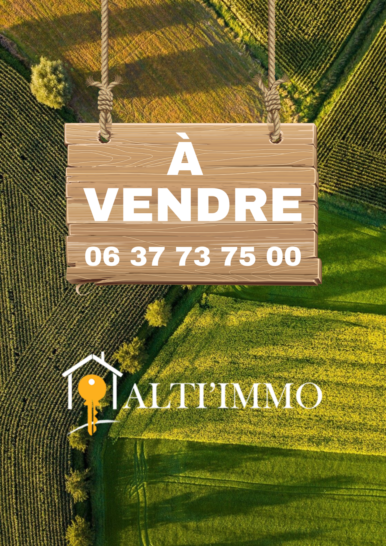 Image_1, Terrain, Sainte-Sigolène, ref :703