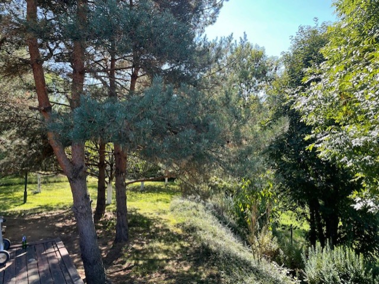 Image_7, Maison, Monistrol-sur-Loire, ref :675