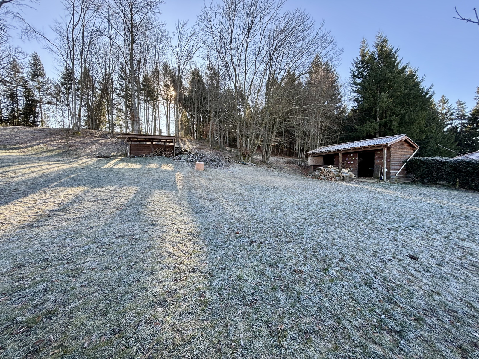 Image_3, Terrain, Sainte-Sigolène, ref :501