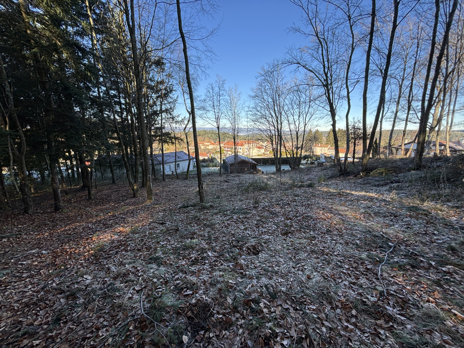 Image_5, Terrain, Sainte-Sigolène, ref :501