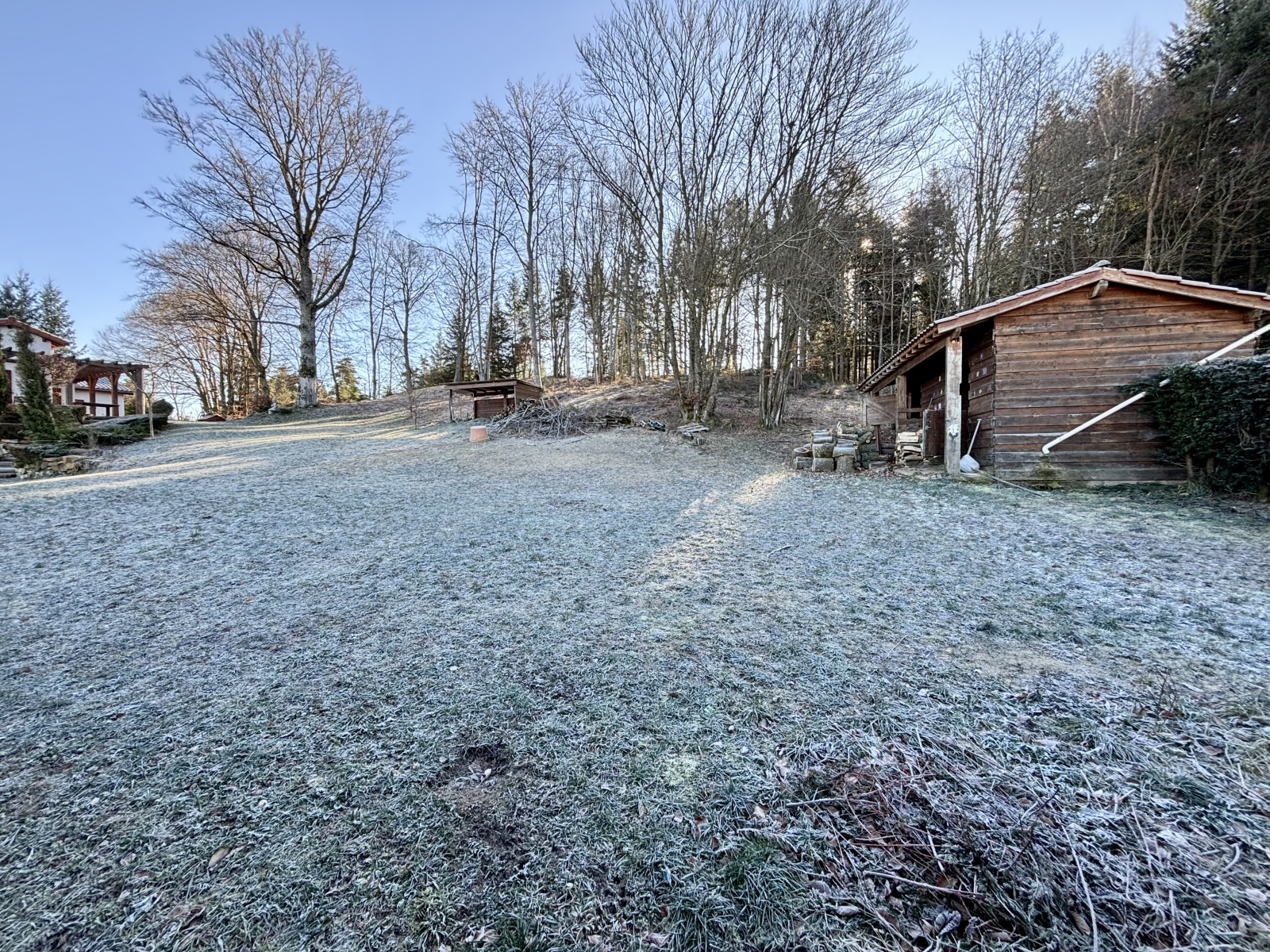 Image_4, Terrain, Sainte-Sigolène, ref :501