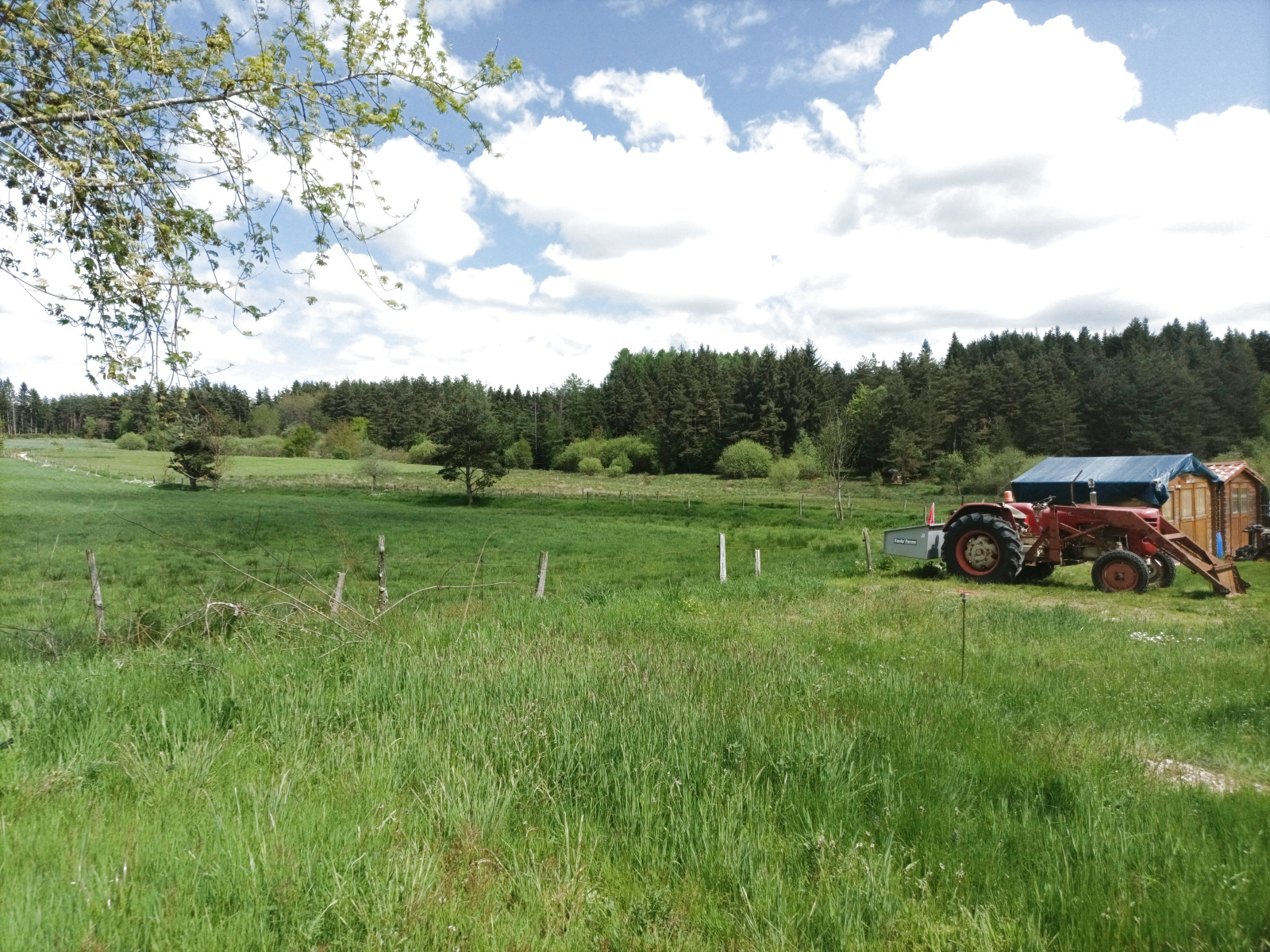 Image_11, Maison, Sainte-Sigolène, ref :577