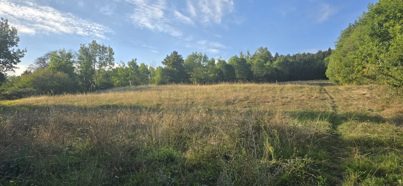 Image_2, Terrain, Beaux, ref :941