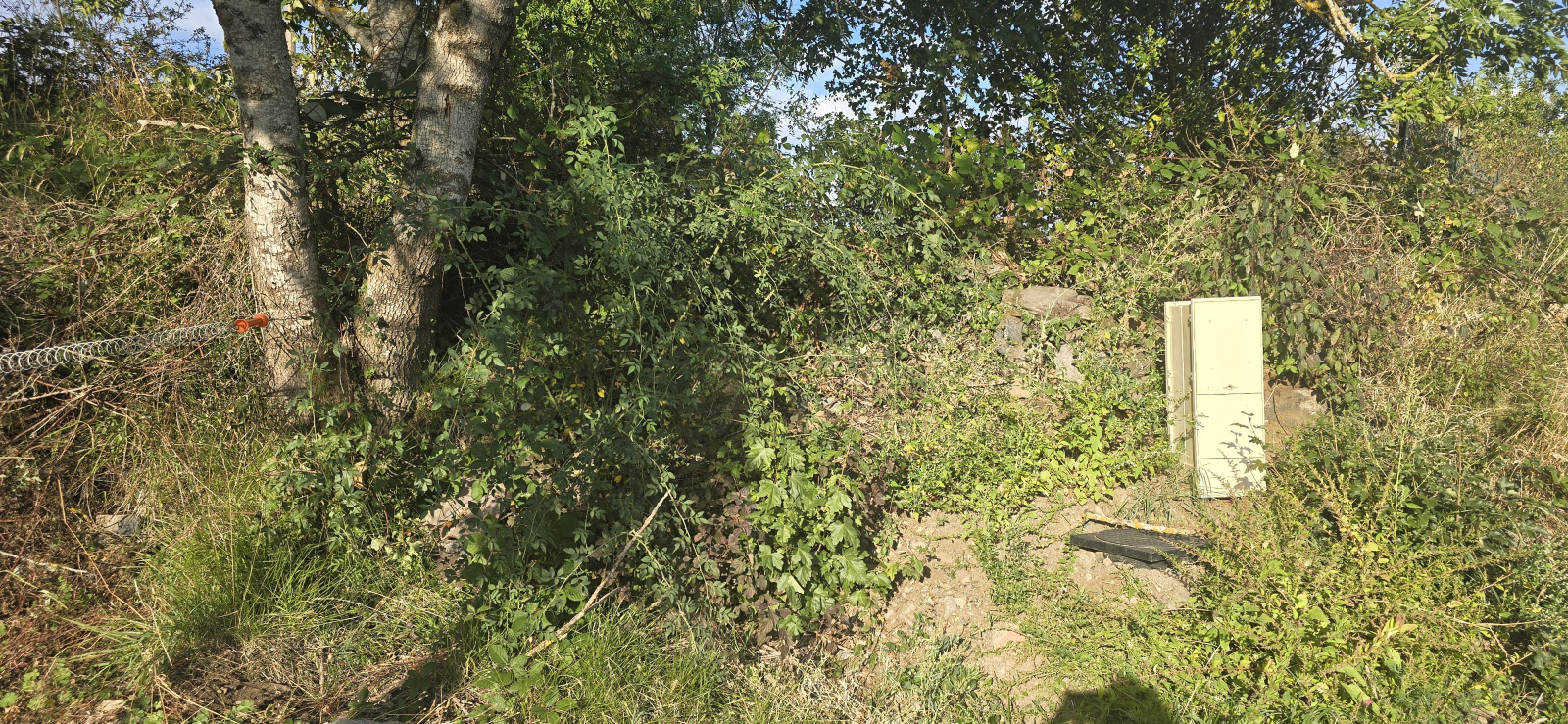 Image_6, Terrain, Beaux, ref :941