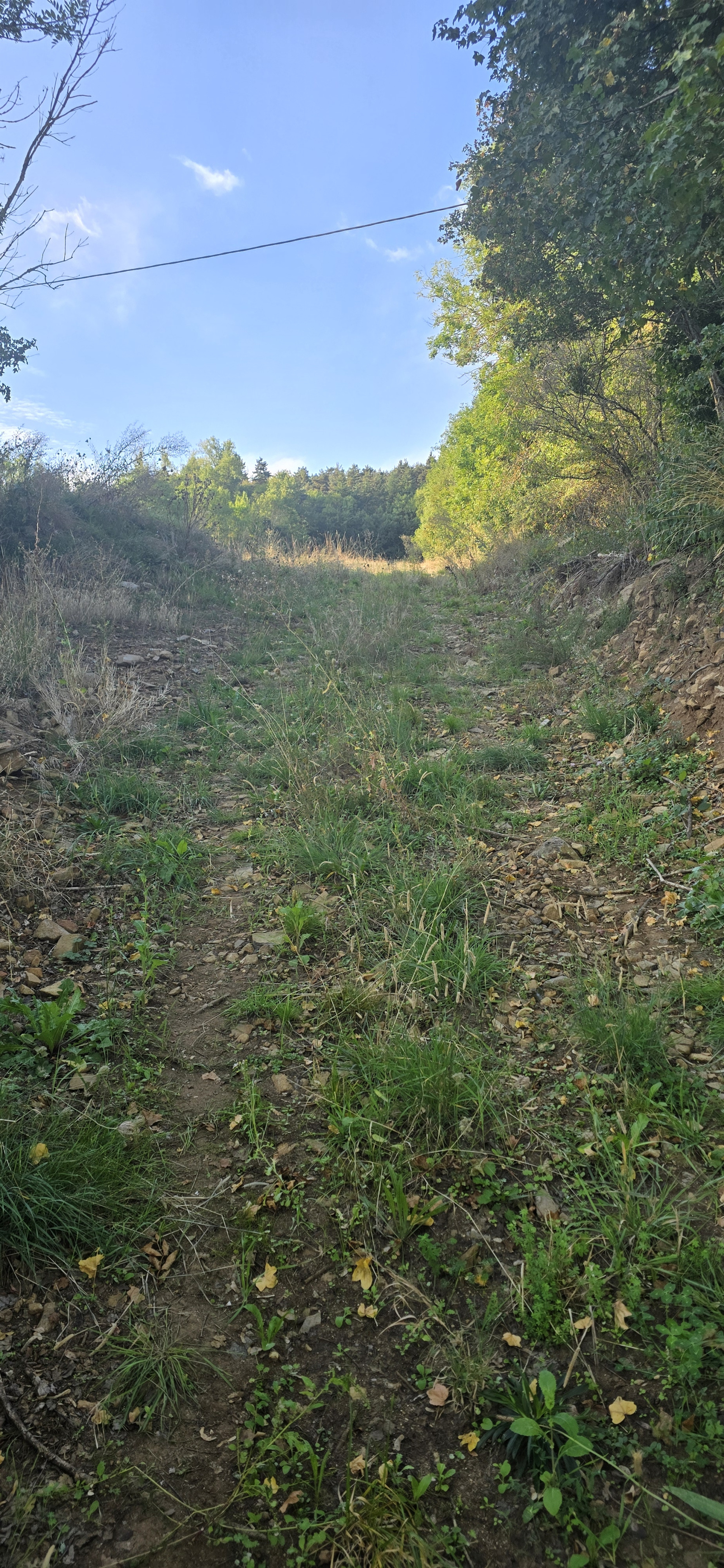 Image_1, Terrain, Beaux, ref :941