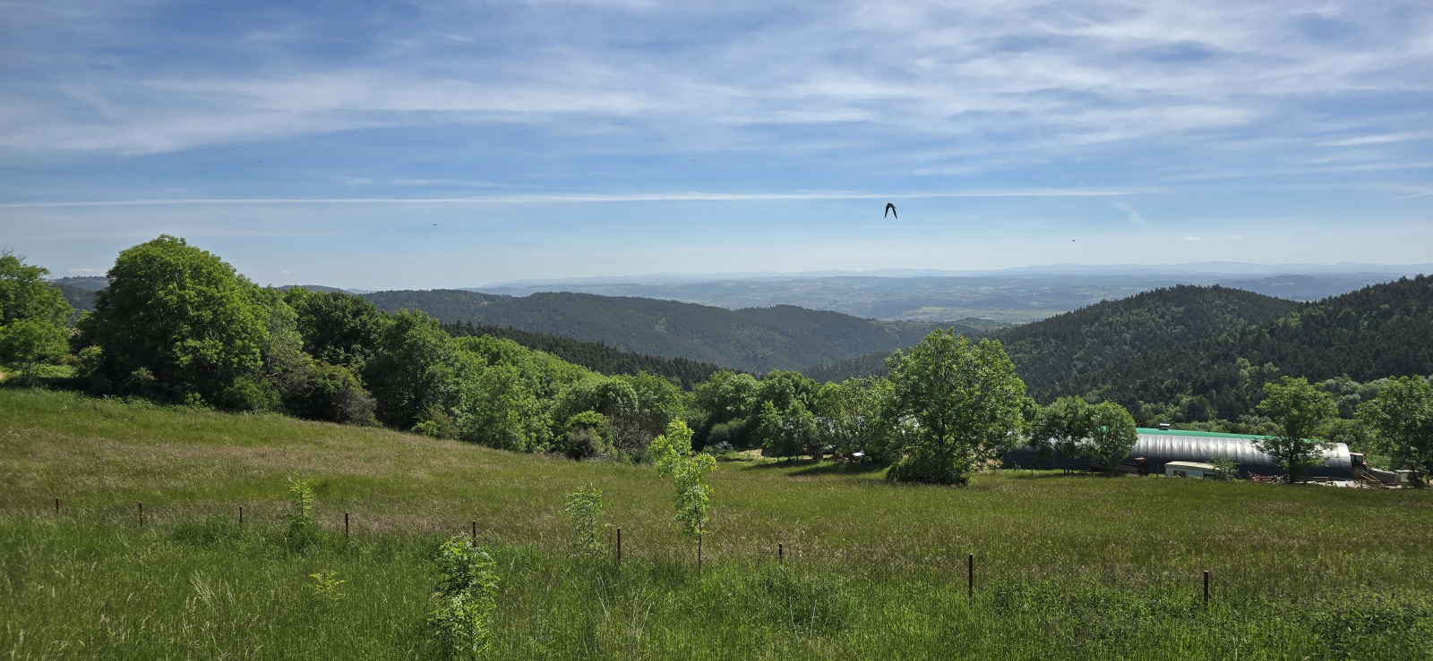 Image_1, Maison, Tiranges, ref :860