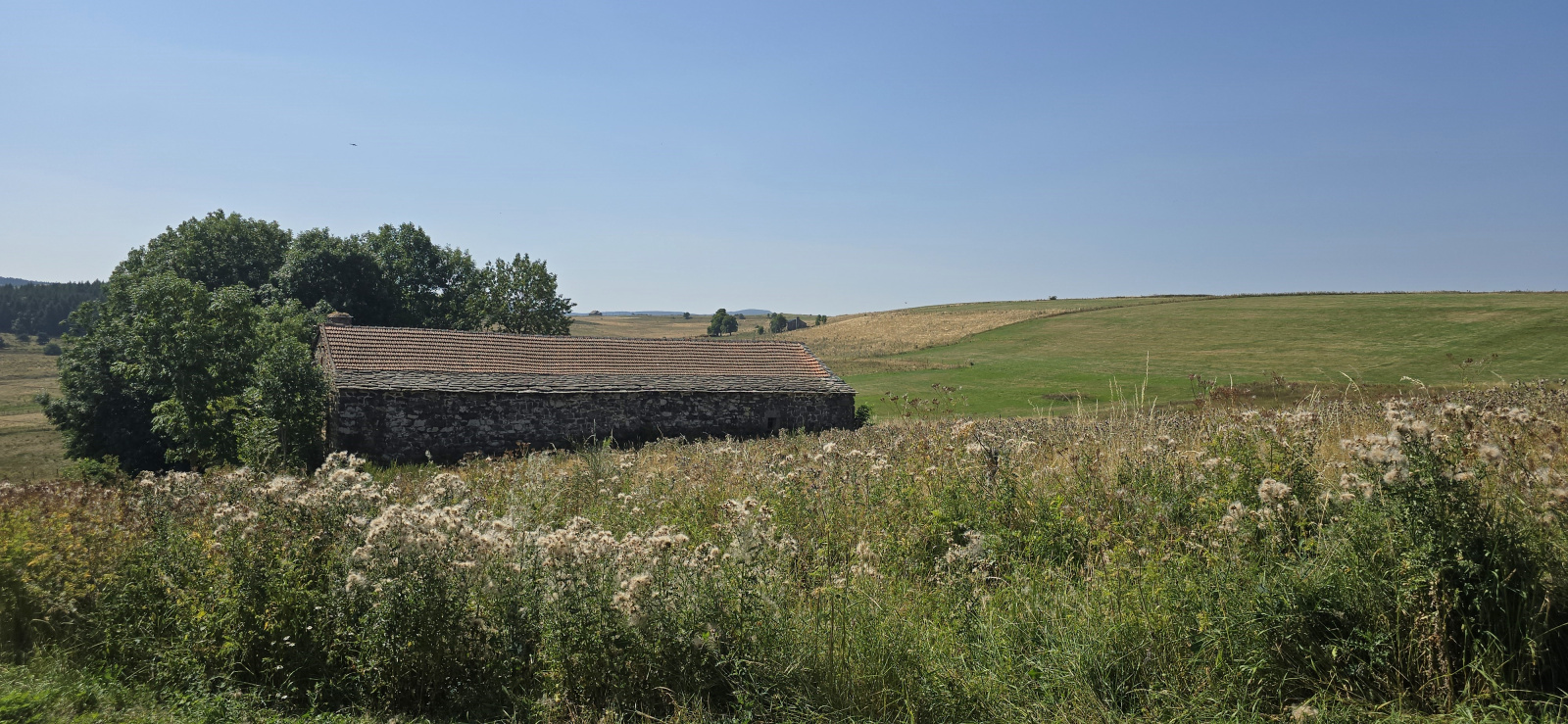 Image_4, Ferme, Champclause, ref :547