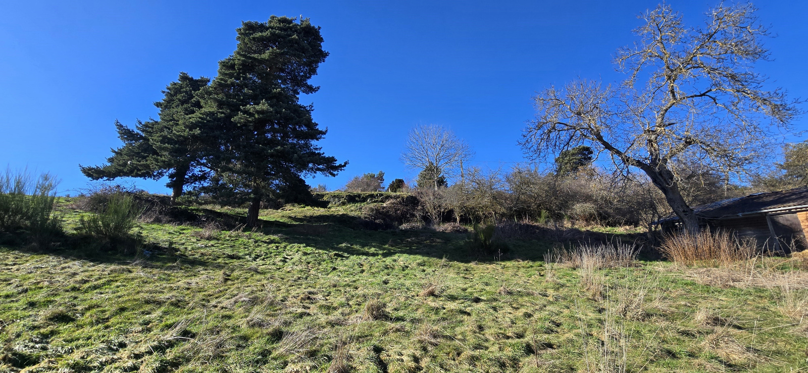 Image_8, Terrain, Solignac-sous-Roche, ref :522