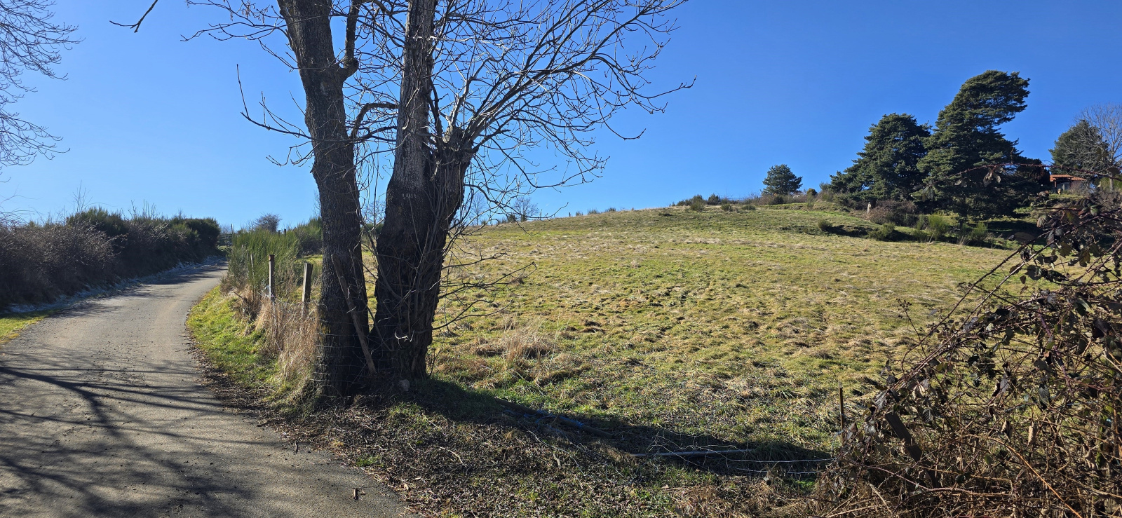 Image_7, Terrain, Solignac-sous-Roche, ref :522