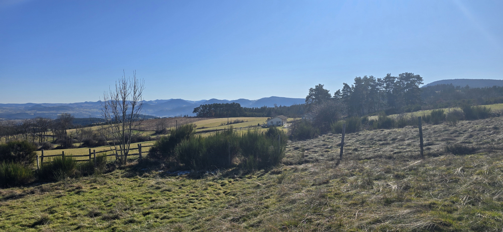 Image_4, Terrain, Solignac-sous-Roche, ref :522