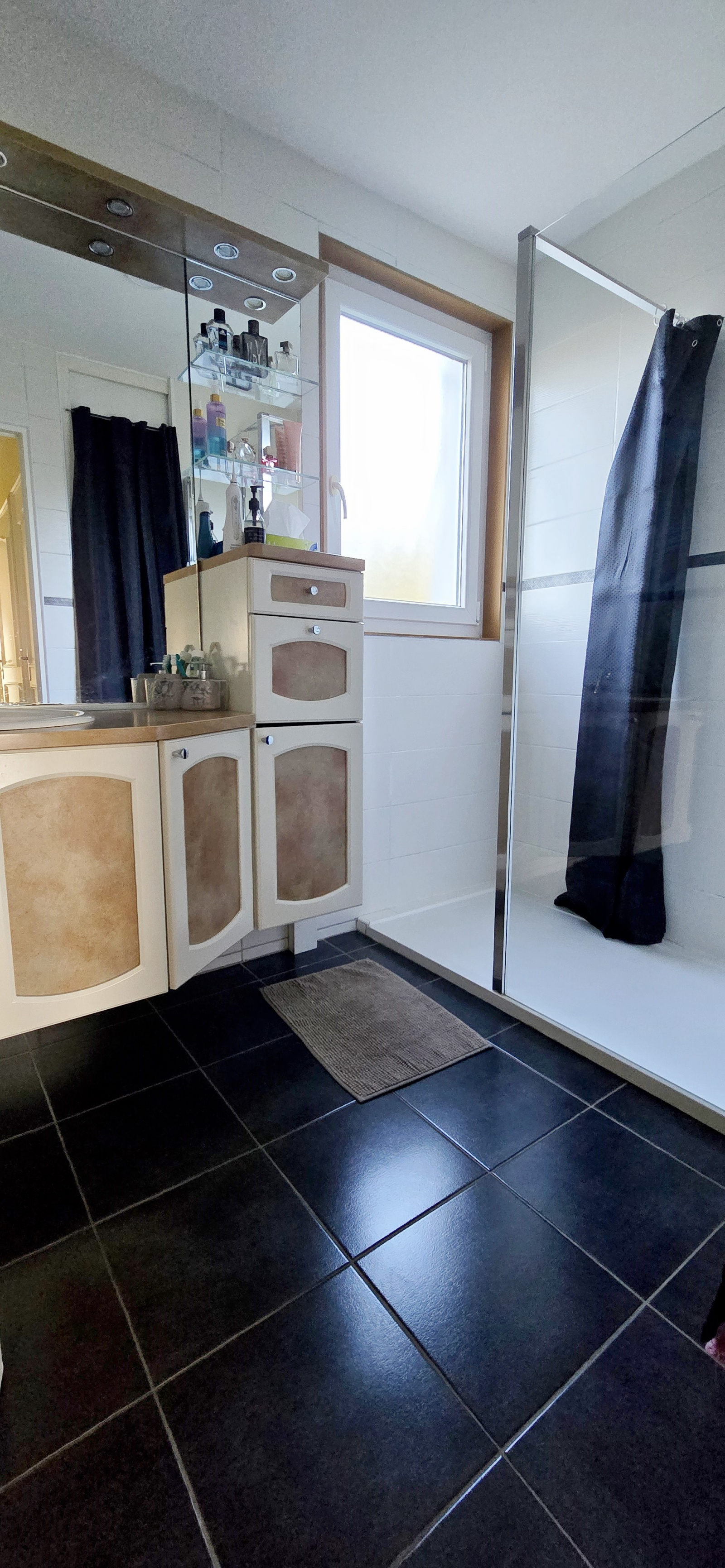 Image_10, Maison, Monistrol-sur-Loire, ref :820