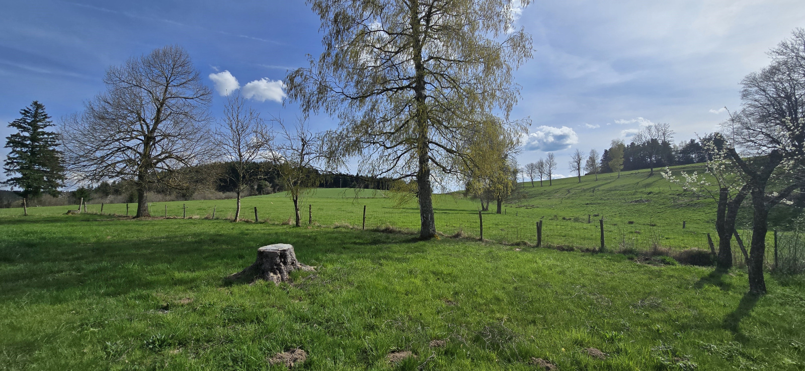 Image_1, Maison, Dunières, ref :833