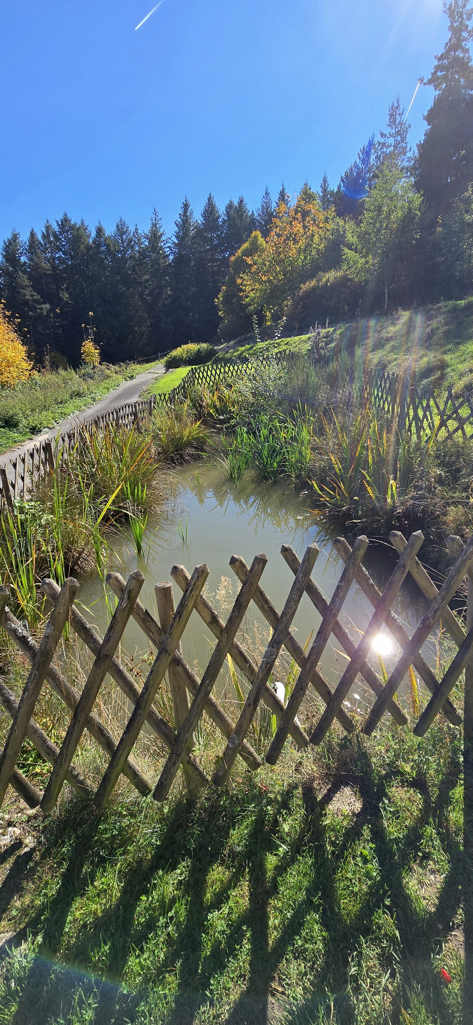 Image_6, Maison, Tence, ref :684