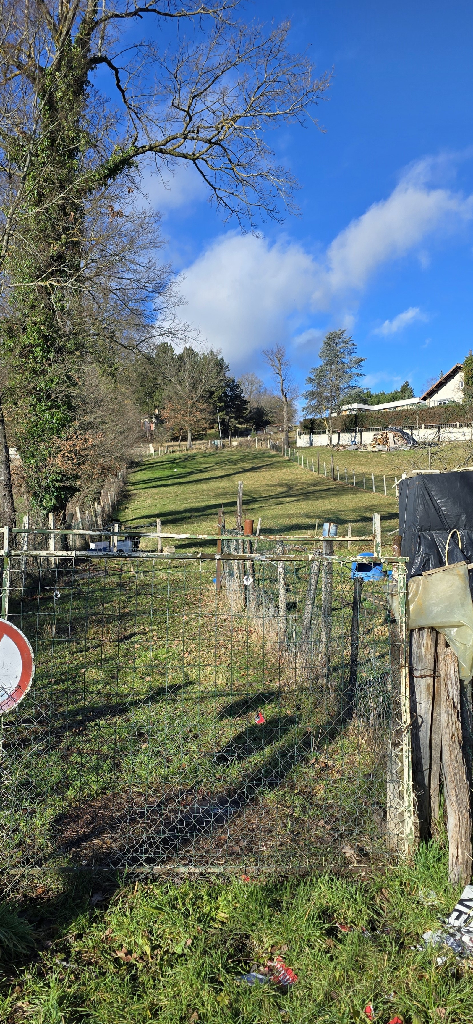 Image_3, Terrain, Saint-Vincent, ref :773