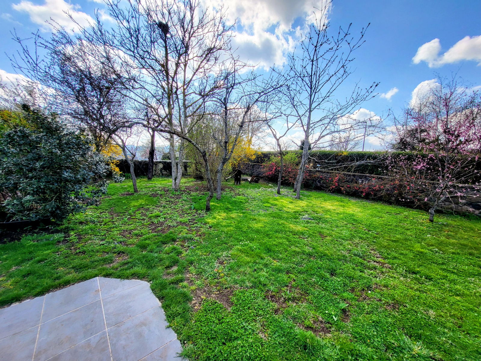 Image_12, Maison, Polignac, ref :783